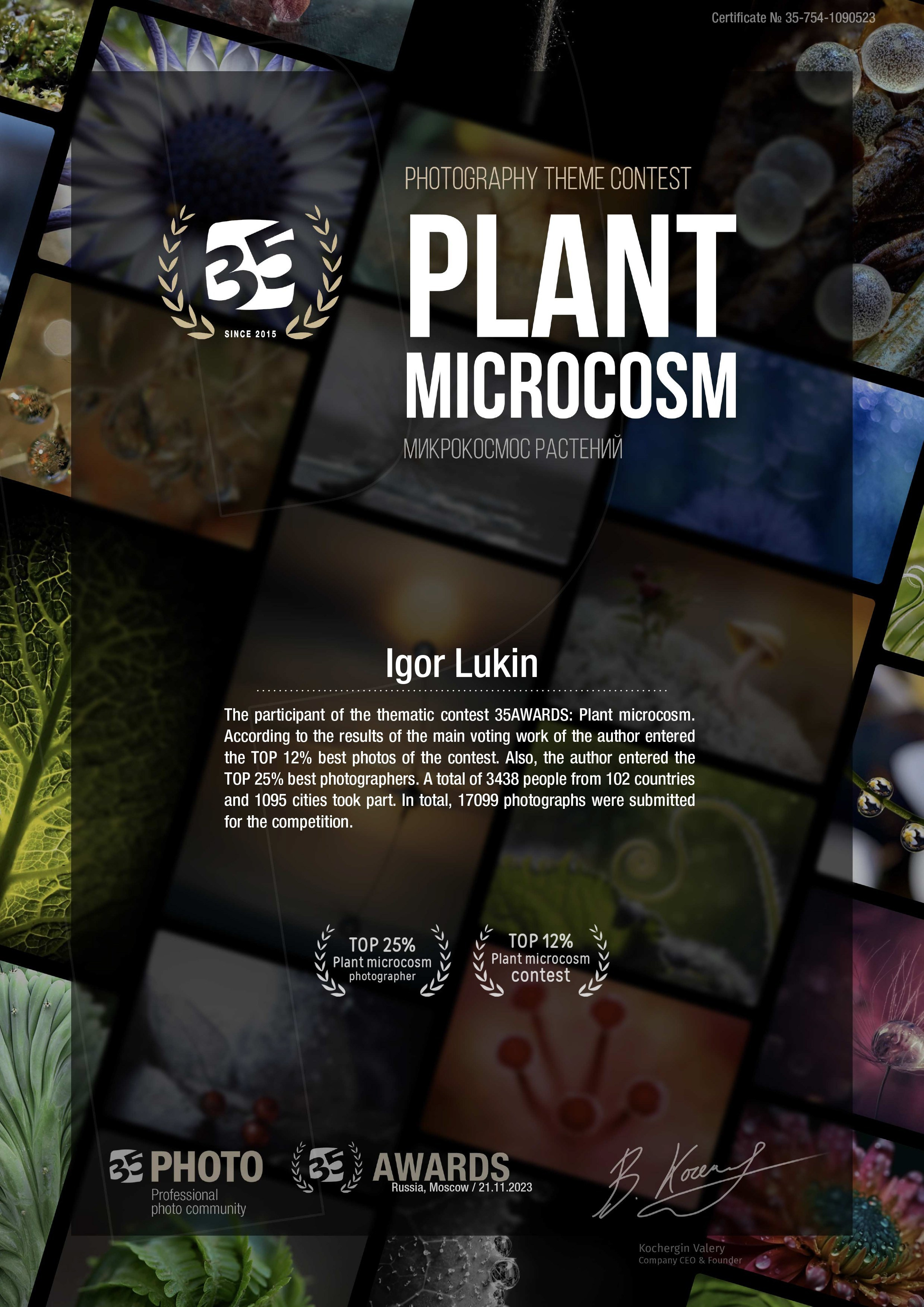 МИКРОКОСМОС РАСТЕНИЙ PLANT MICROCOSM. LUKIN IGOR Photography