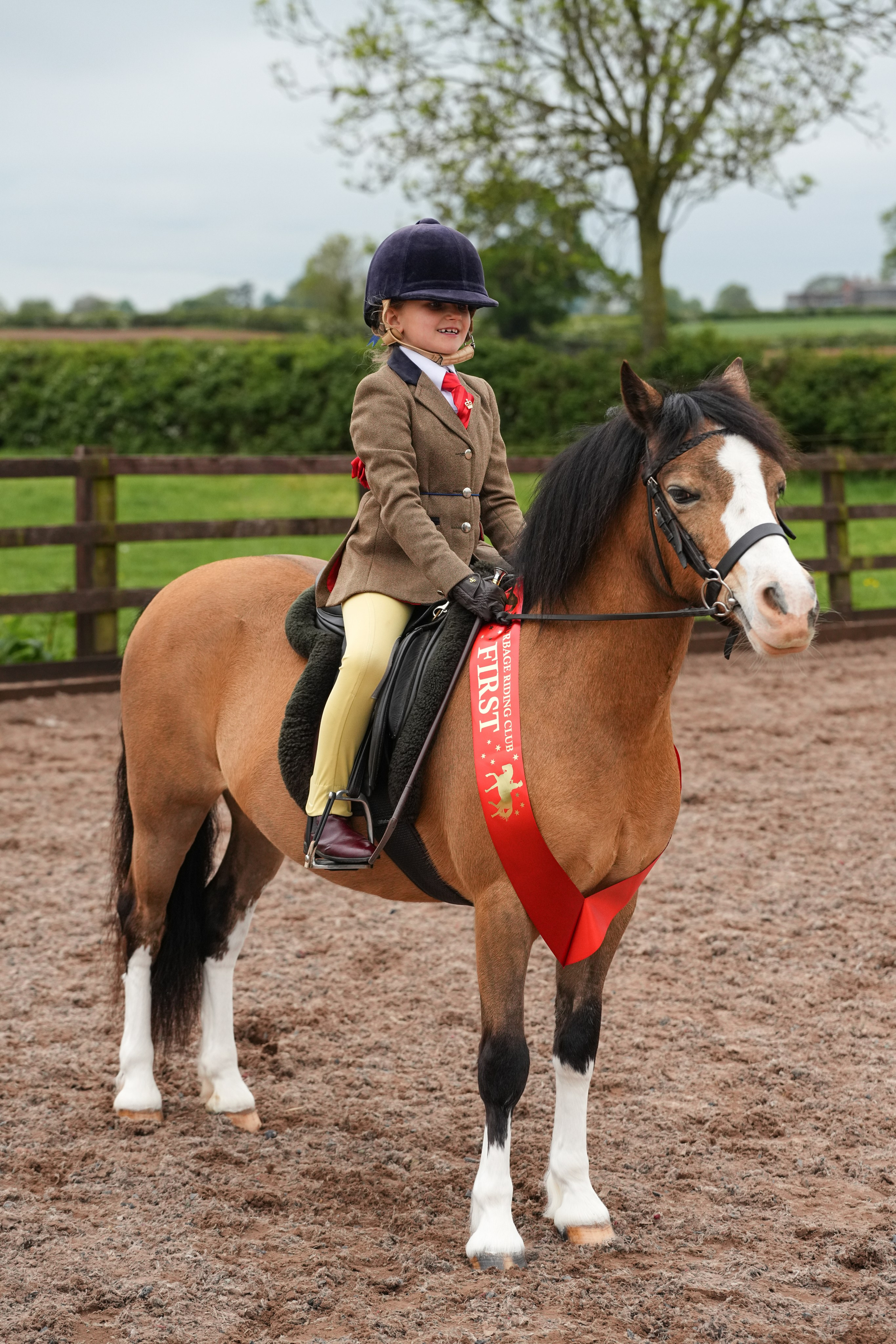 Showing. Leicestershire Equine Photography by El | Authentic Equine Portraits & Events