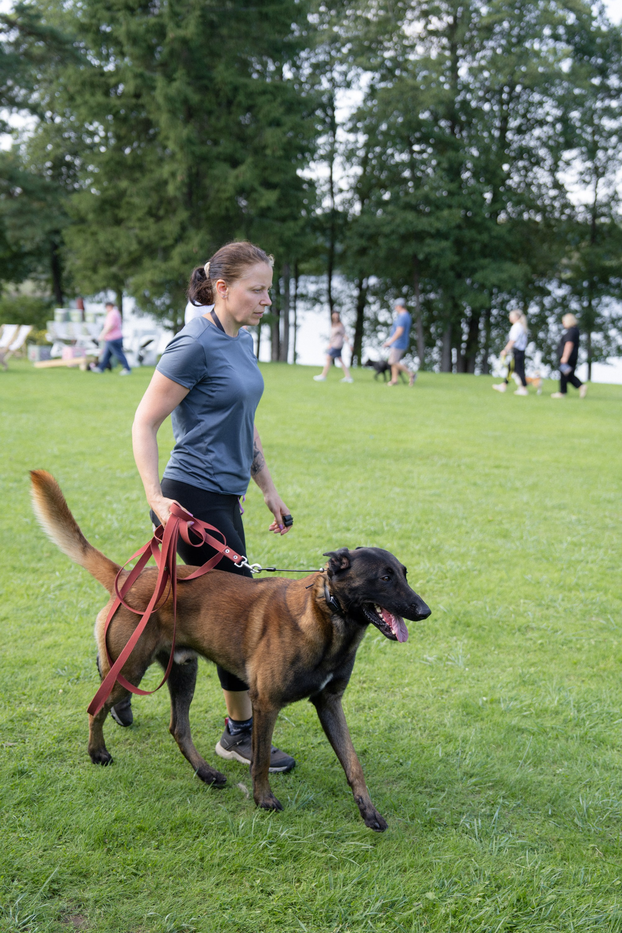 Heppi Dogo fest 2025. Vita Klimaševska ○ Fluffy Soulmate Photography