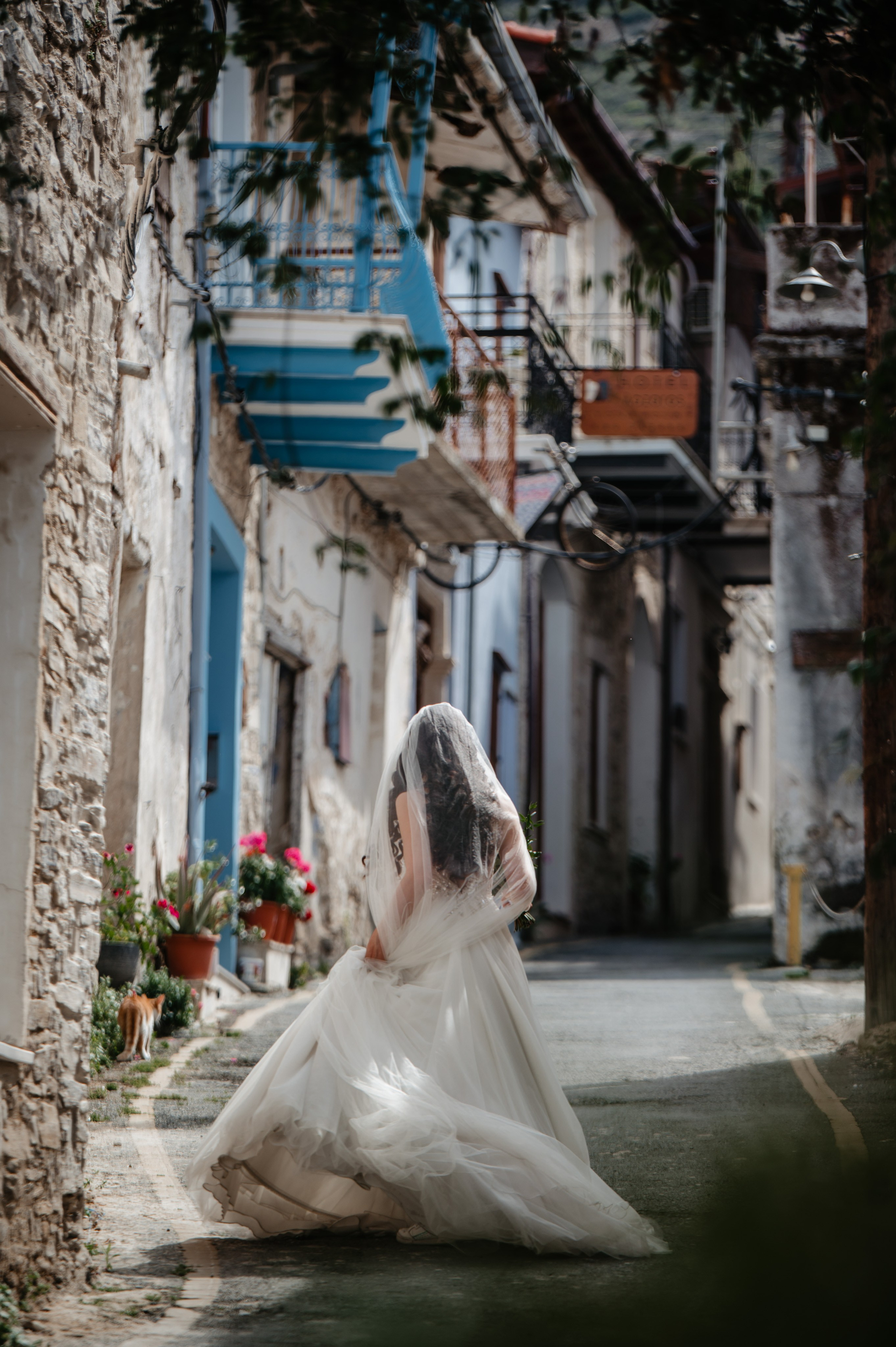 AfterDay Y & E. AdrianOltean.wfolio.pro