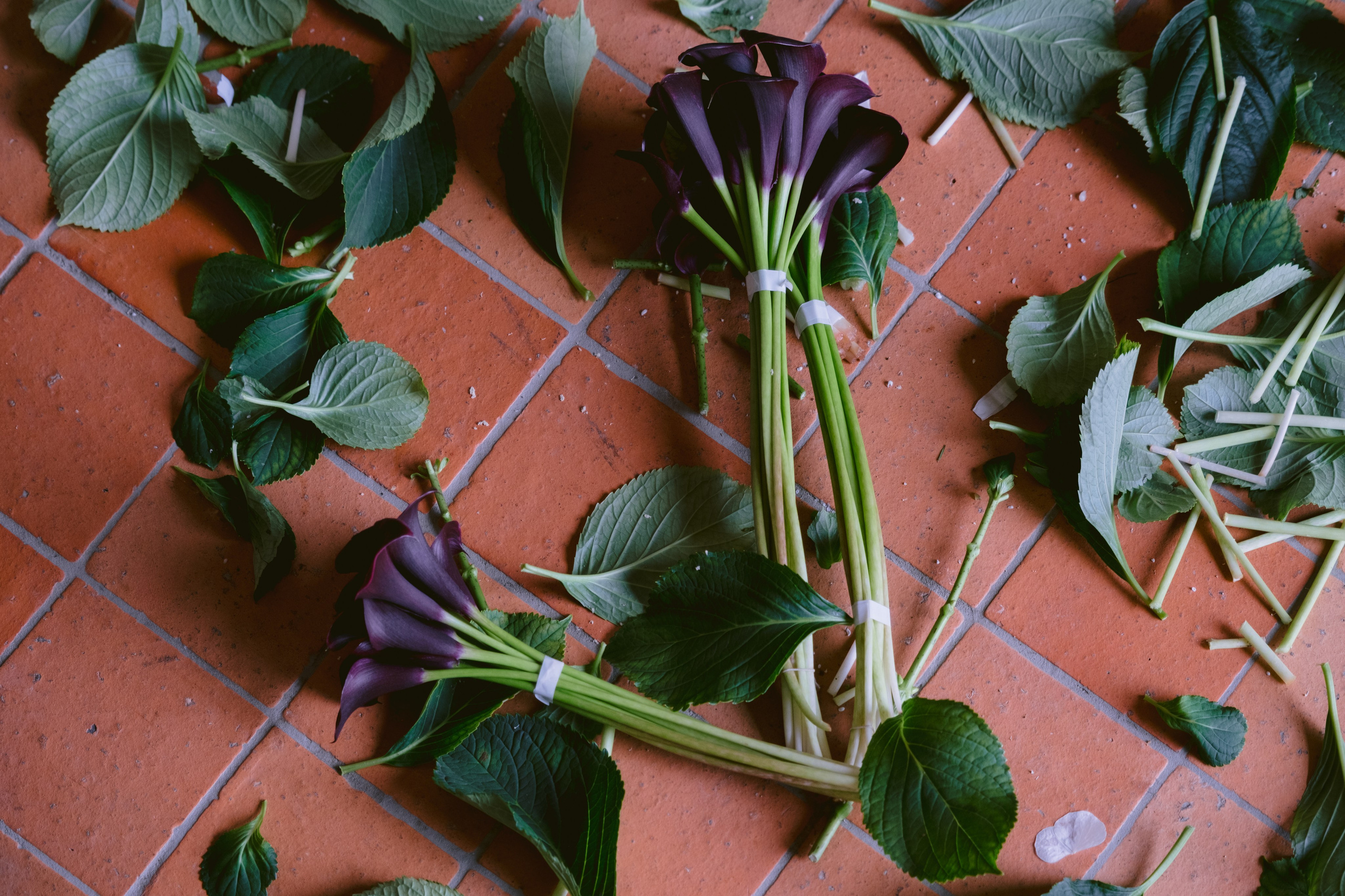 Louis and Lucie. Wedding photography — EMU Photos