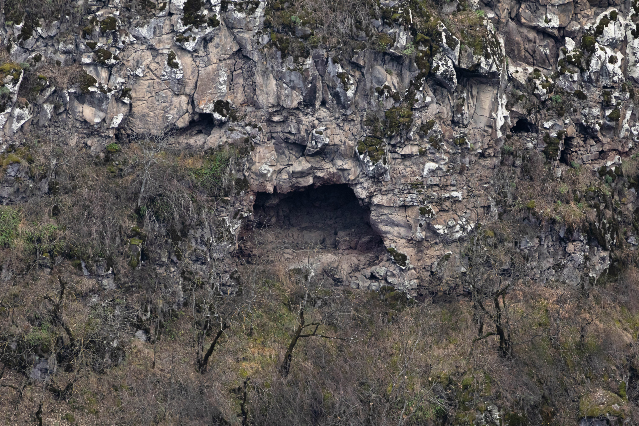 სამშვილდე. FramefreeMan