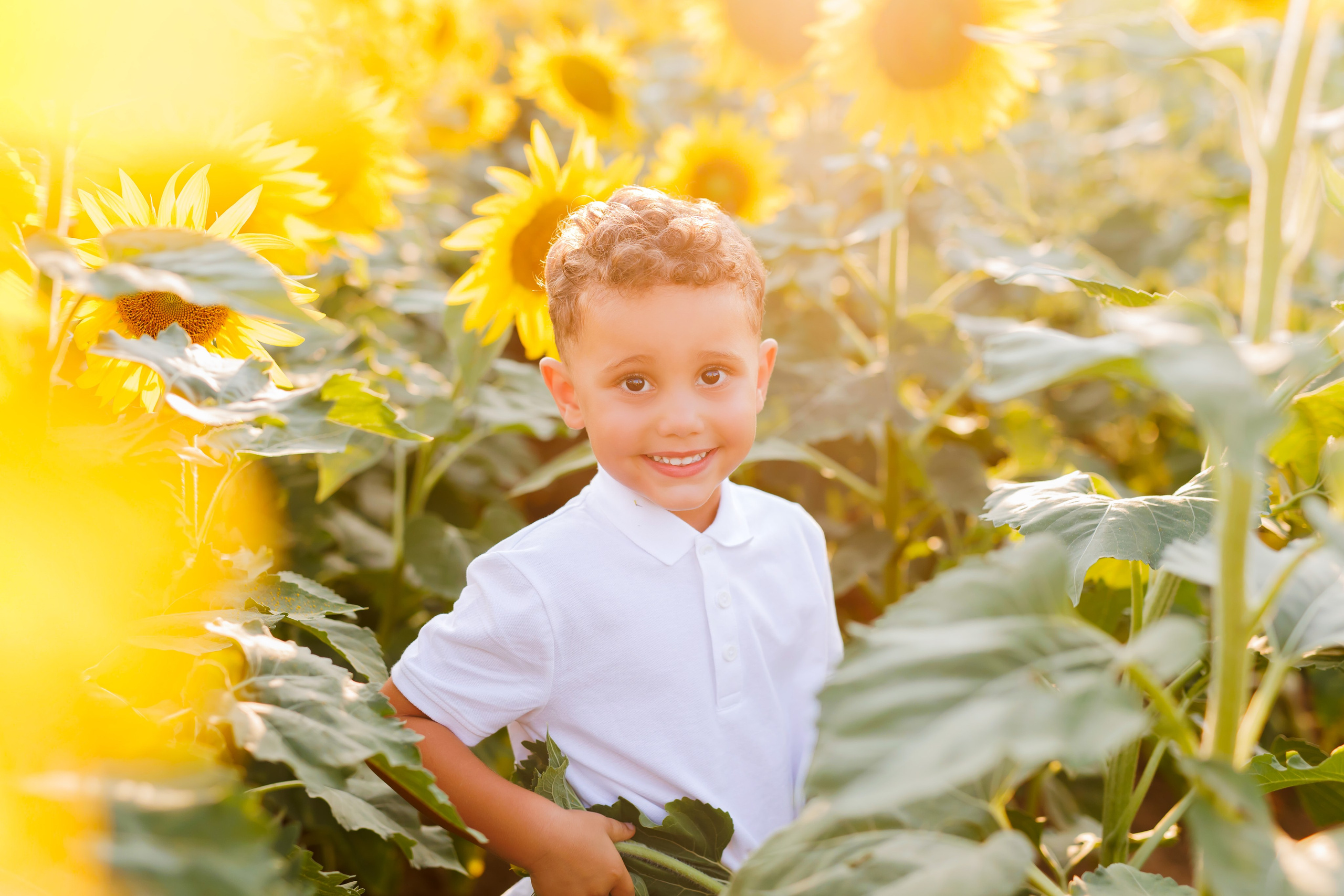 Tramonto tra i girasoli - 2026. Luci e Capricci Photography