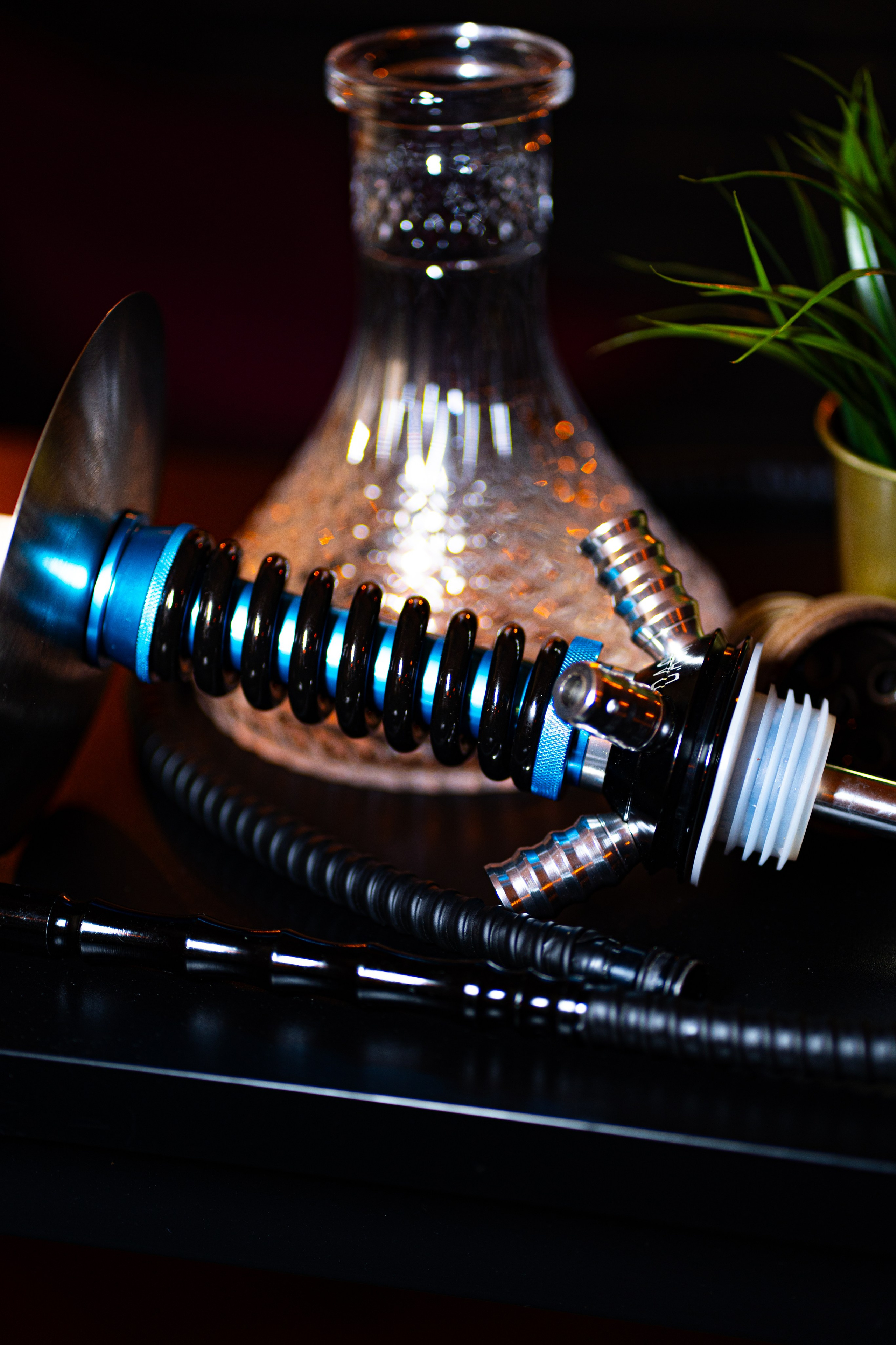 Cachimbas. Baby Beast