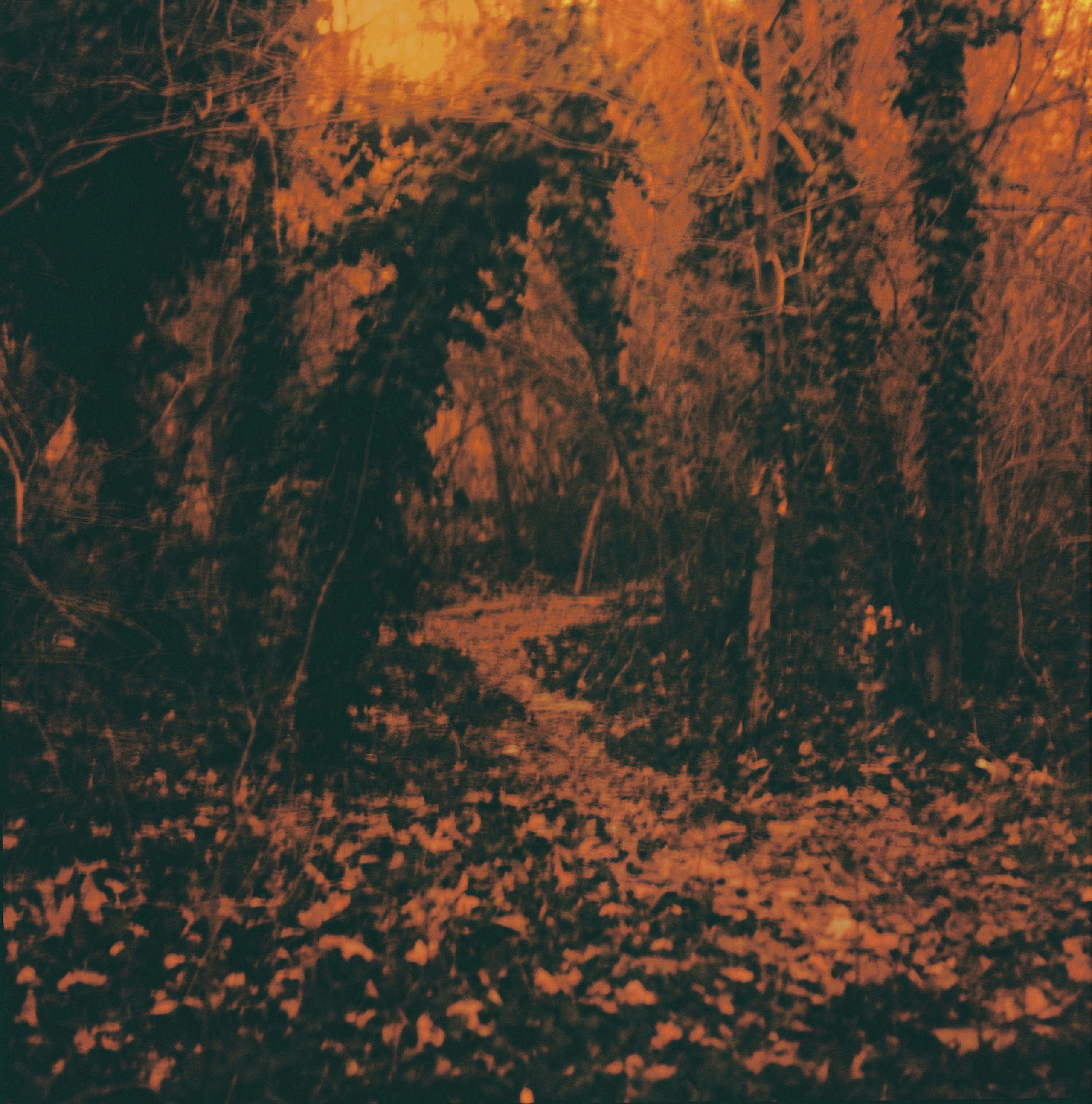 Landscapes. Map of the Borderlands