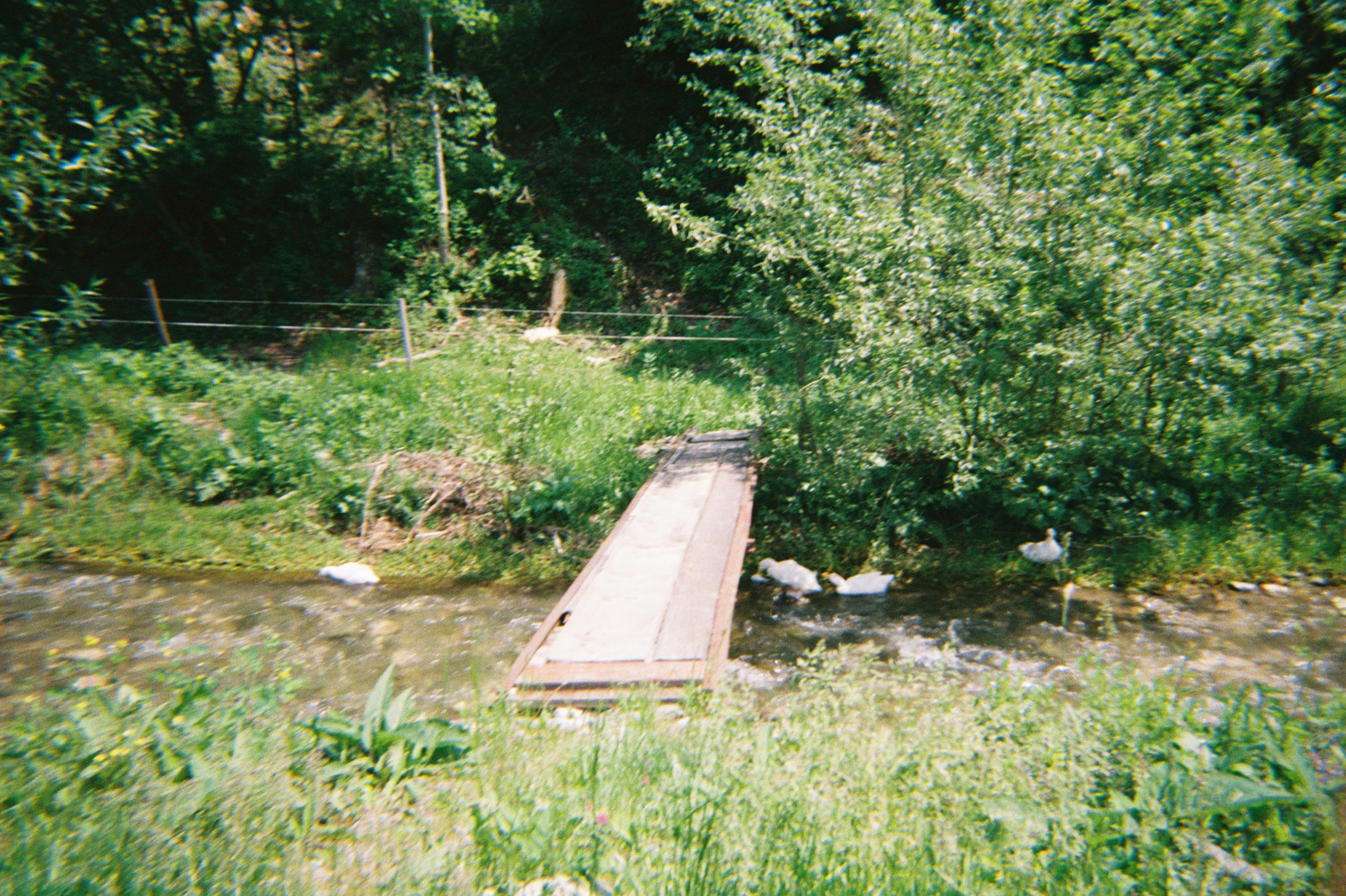 Mîndrii’s holiday