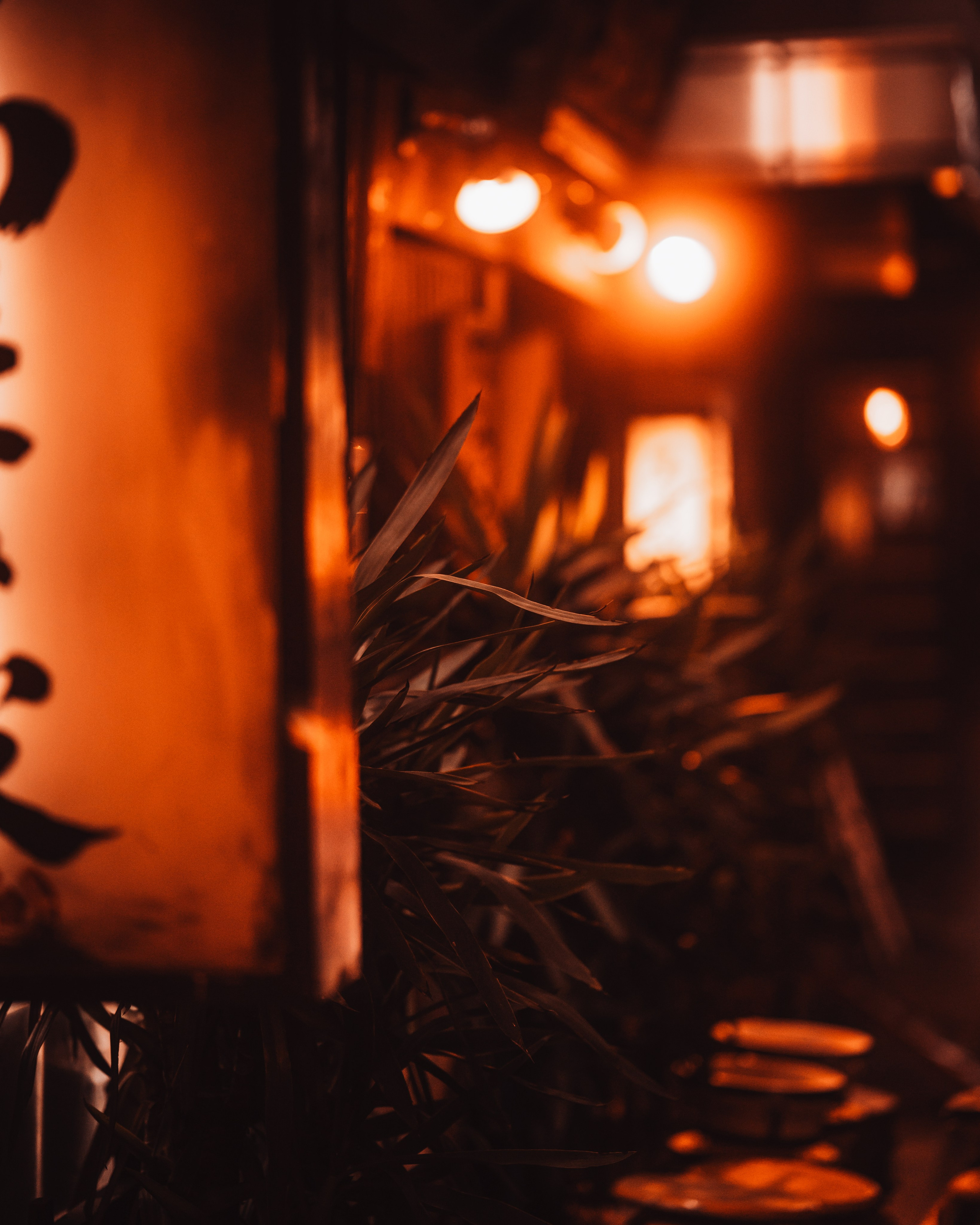 Signature style. Senya JP