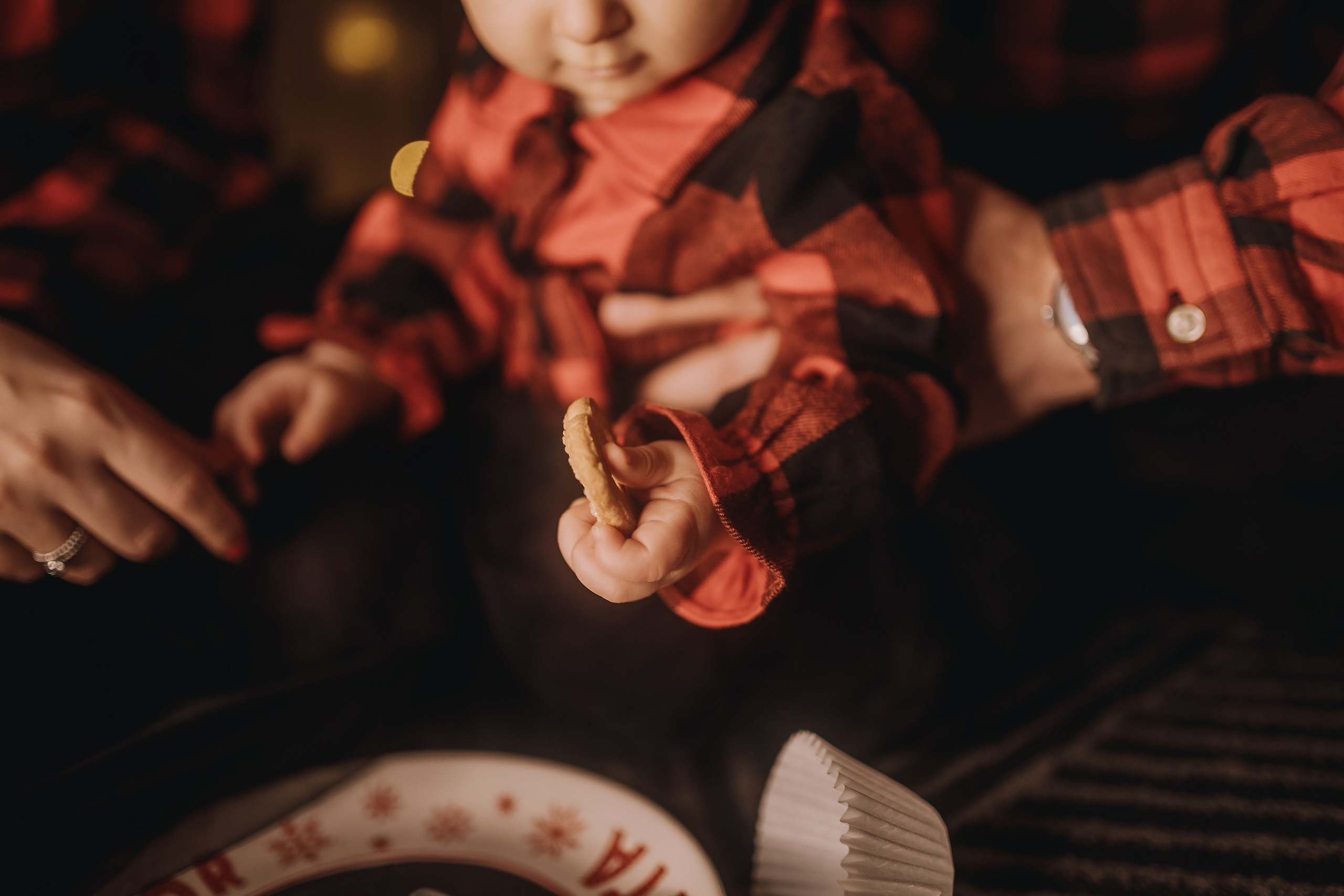 25.11.2023 Christmas Photoshoot 1. Wedding family event photographer in Chicago Nick Yushevich