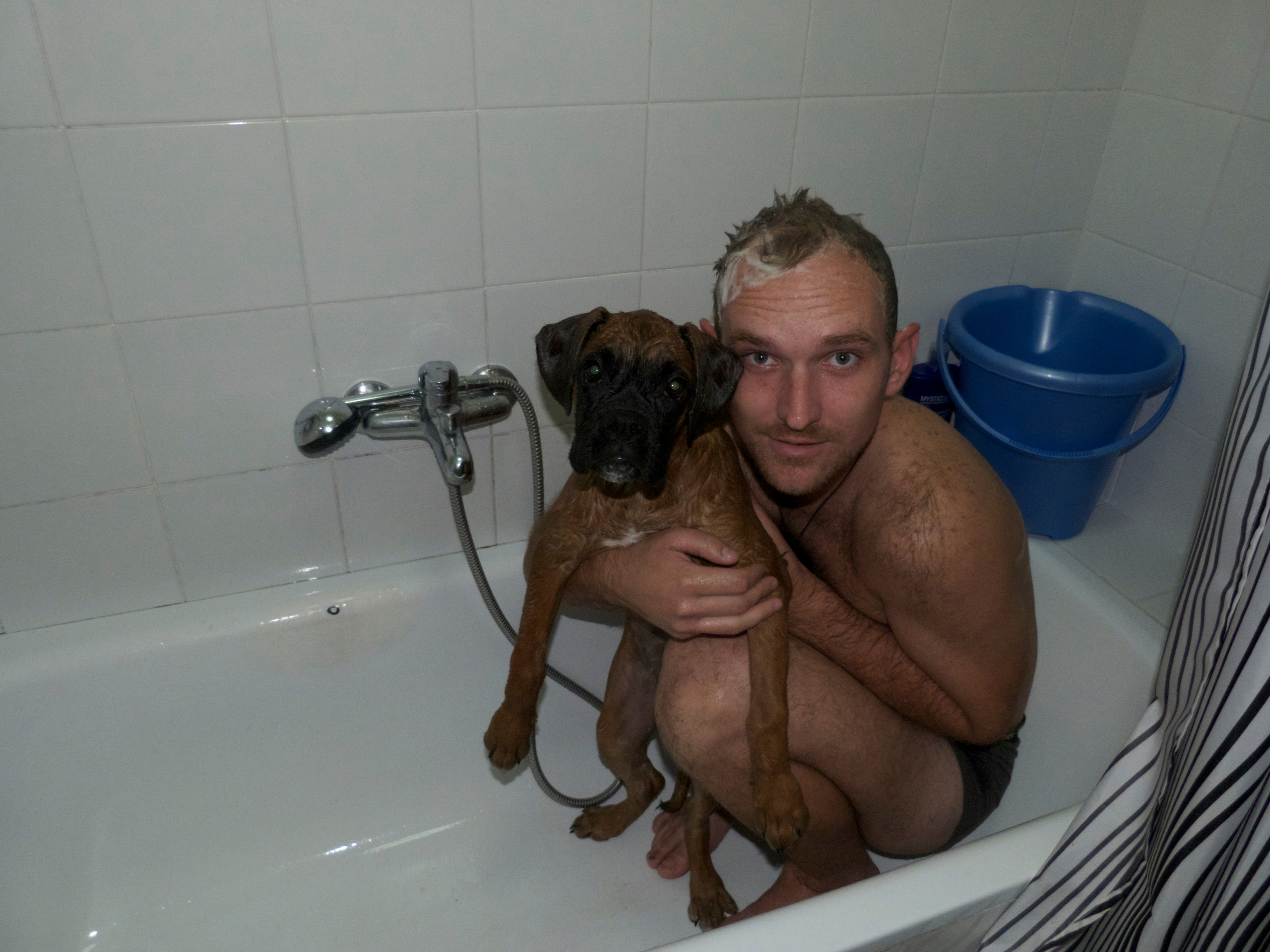 My ״Star״ Boxer Dog