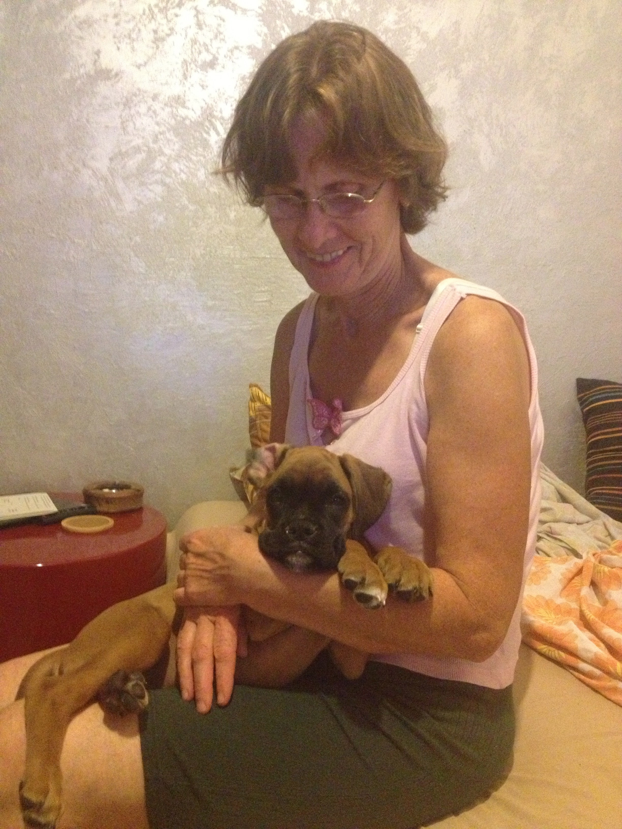 My ״Star״ Boxer Dog