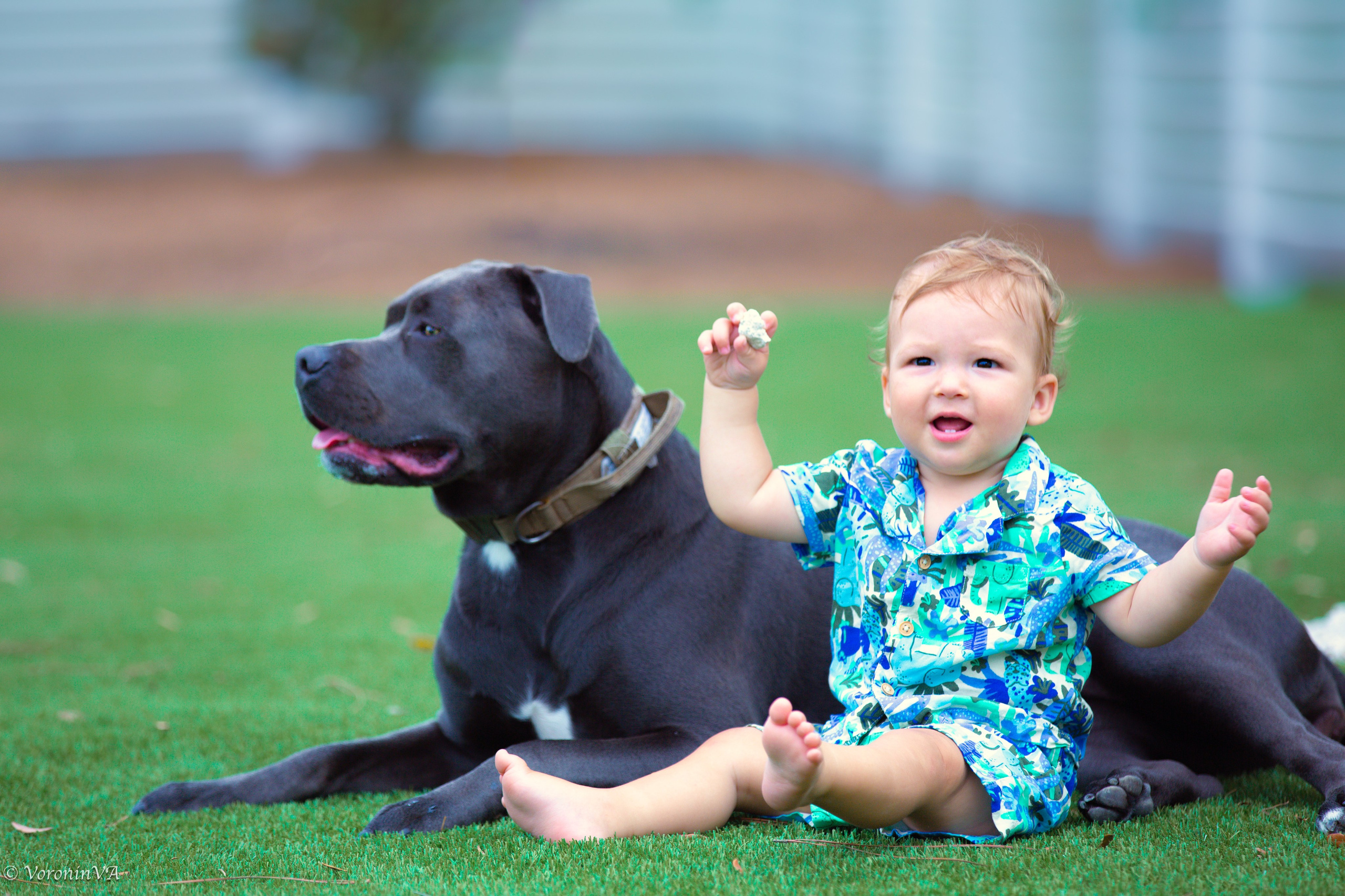Children’s Portrait Session — Pure, Joyful, Timeless. Photographer St. Augustine