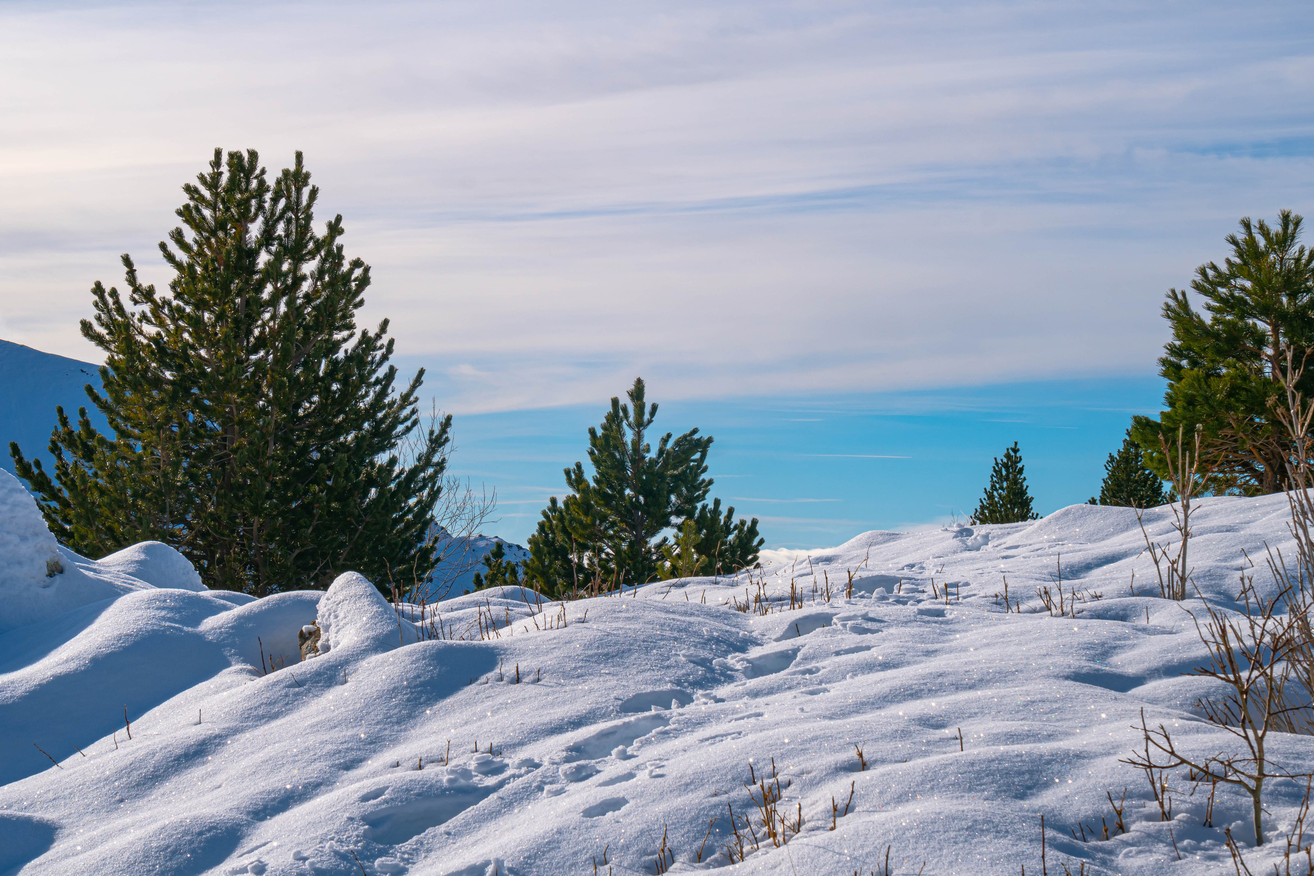 Vall Fosca, Invierno 2023. Alba del Norte Studio