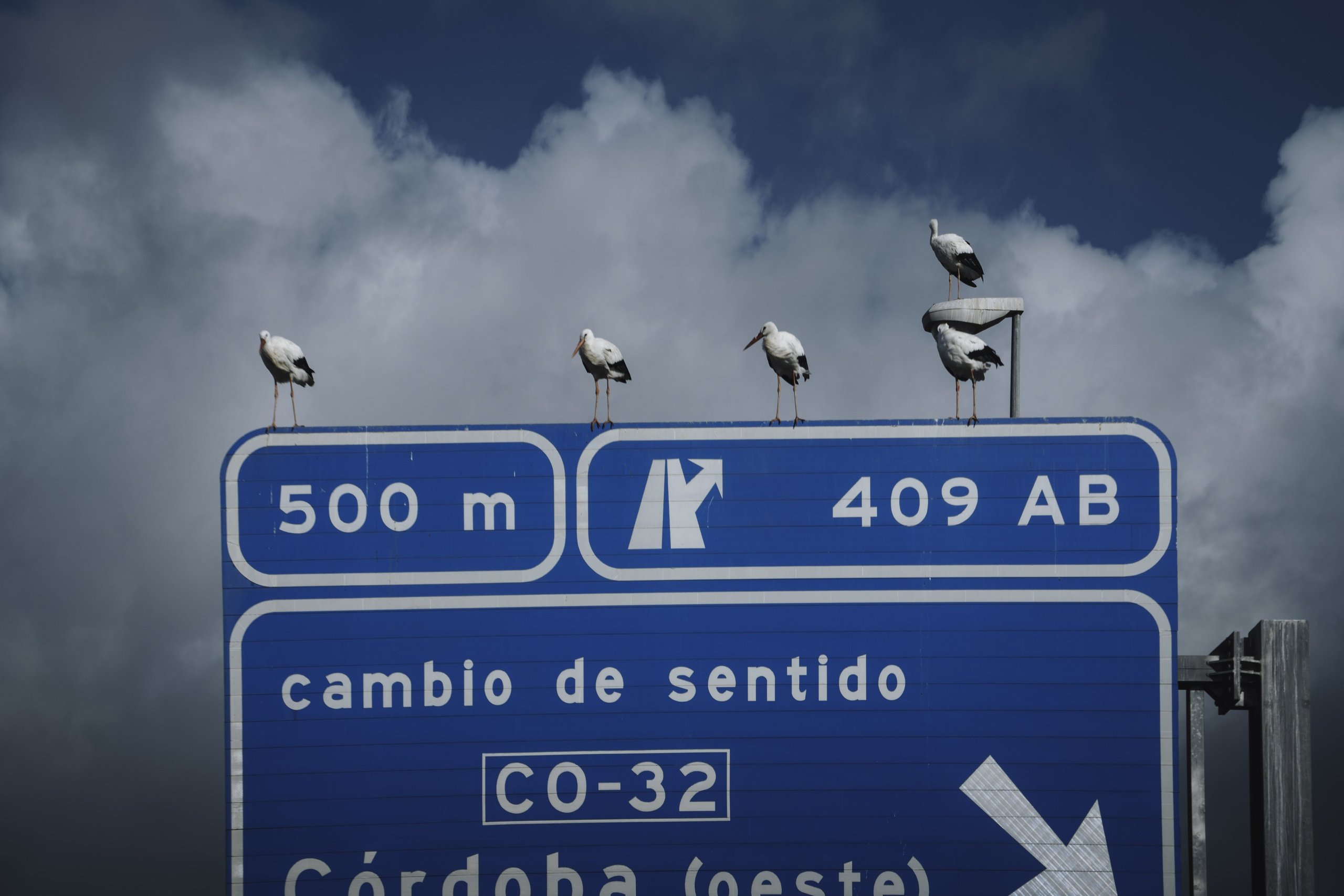 Fotografía de viajes y lugares | Pirineos y otros destinos