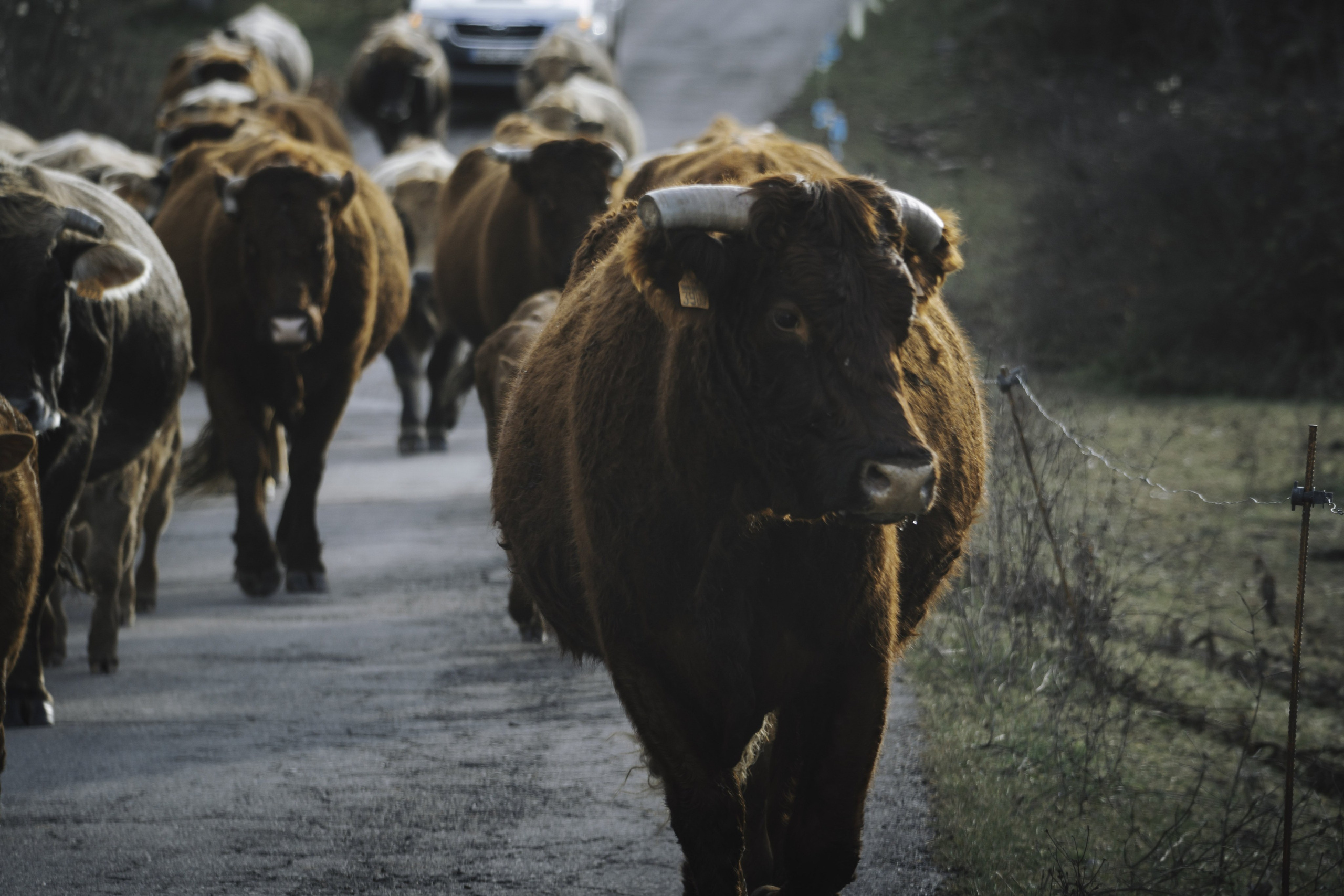 Fotografía de viajes y lugares | Pirineos y otros destinos