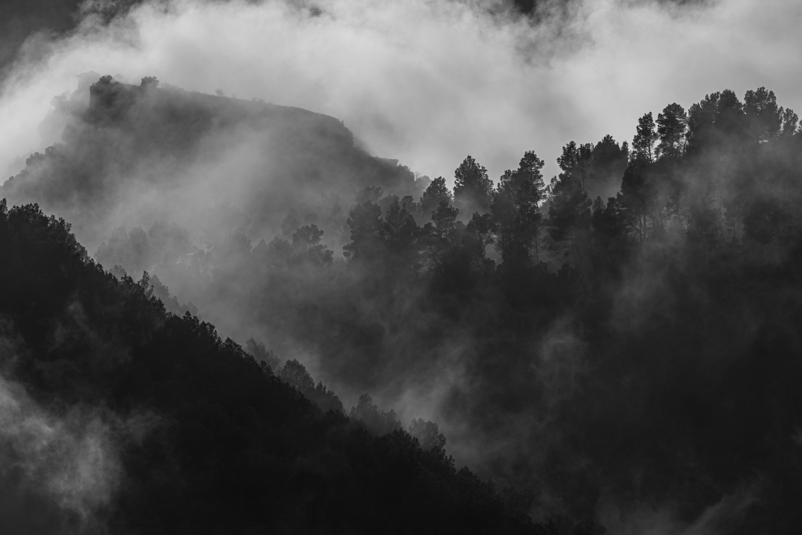 Fotografía de paisaje y naturaleza en los Pirineos | Alba del Norte