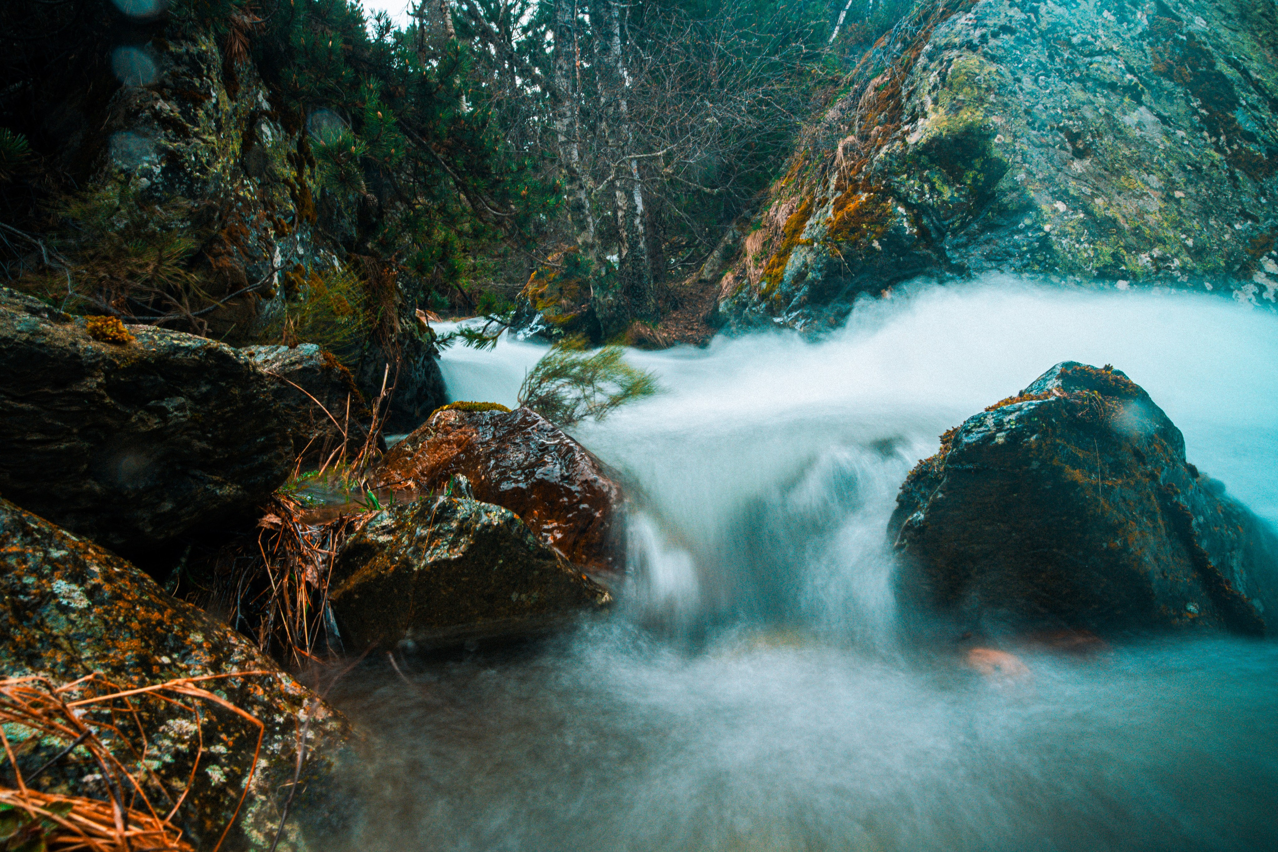 Fotografía de paisaje y naturaleza en los Pirineos | Alba del Norte