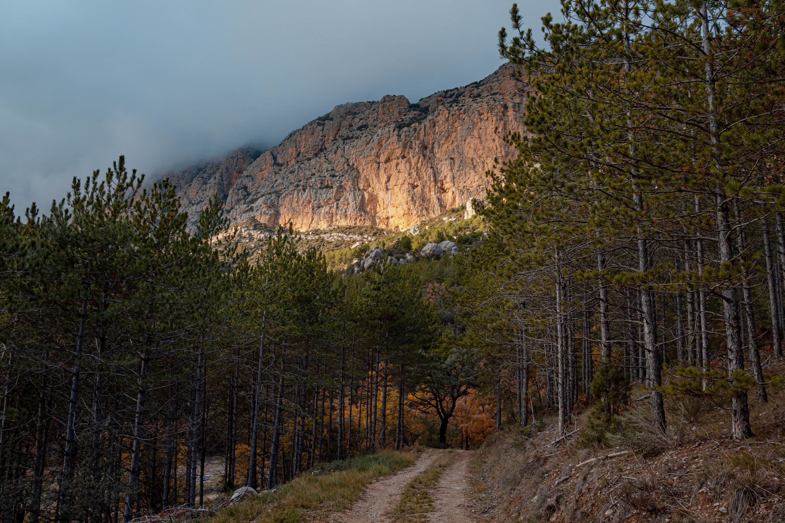 Fotografía de paisaje y naturaleza en los Pirineos | Alba del Norte