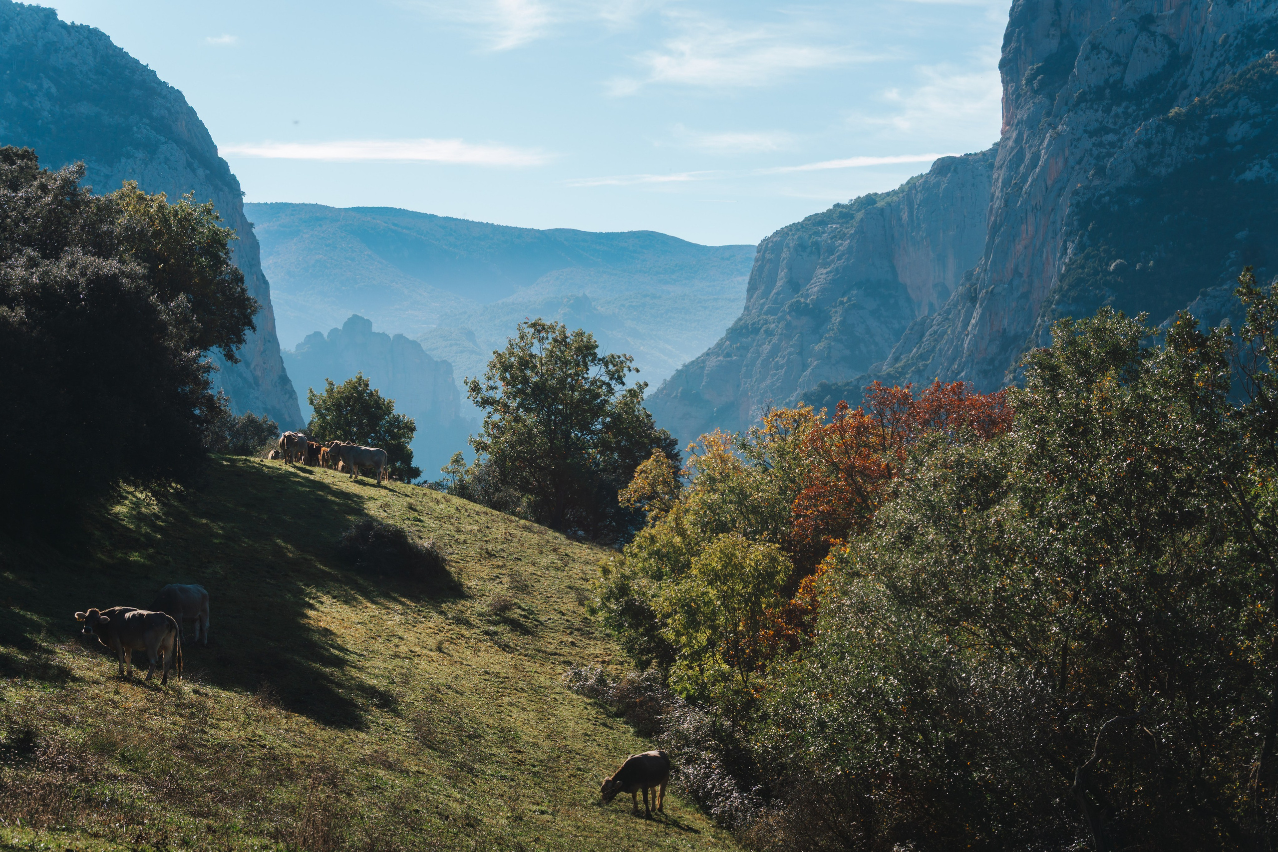 Fotografía de paisaje y naturaleza en los Pirineos | Alba del Norte