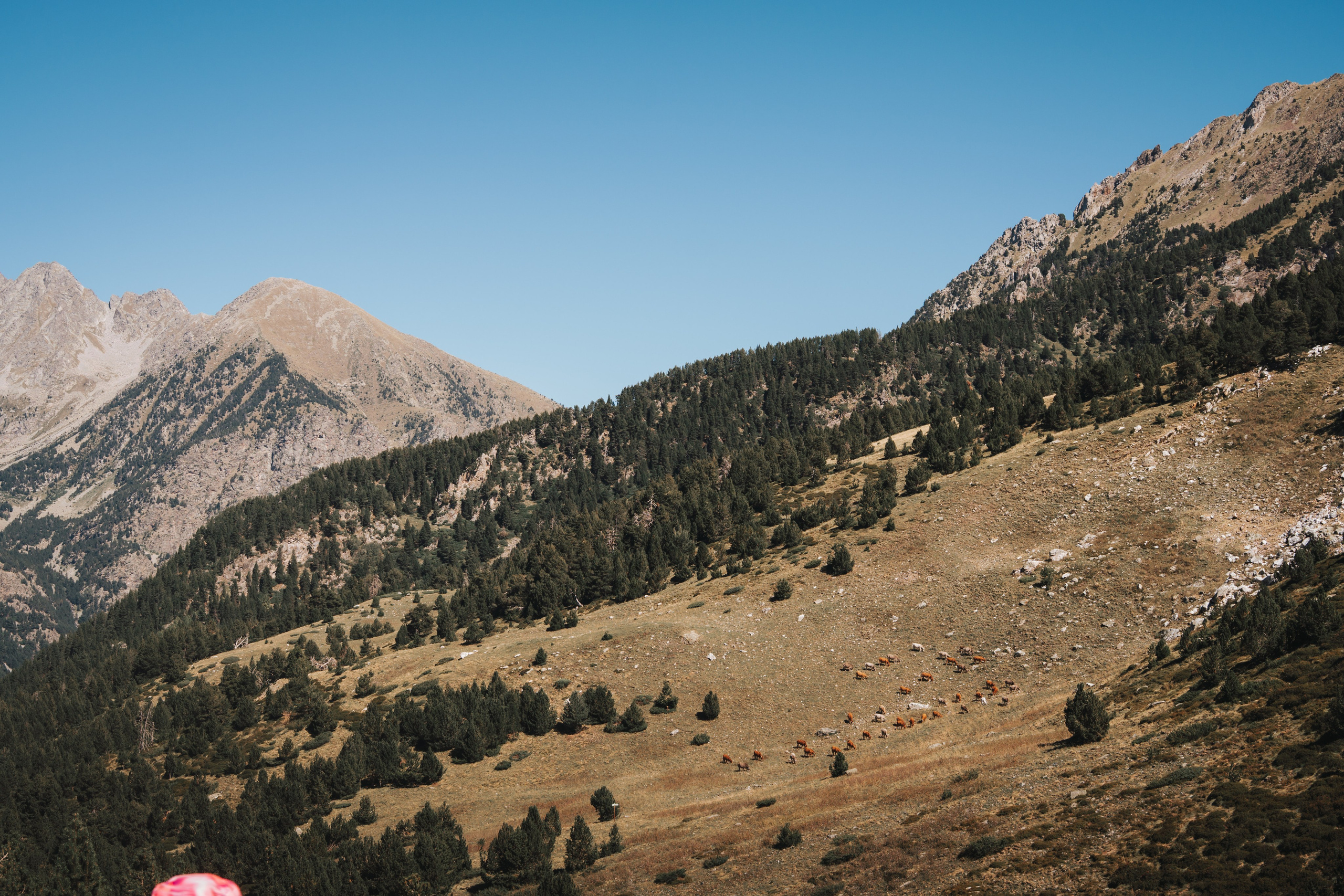 Fotografía de paisaje y naturaleza en los Pirineos | Alba del Norte