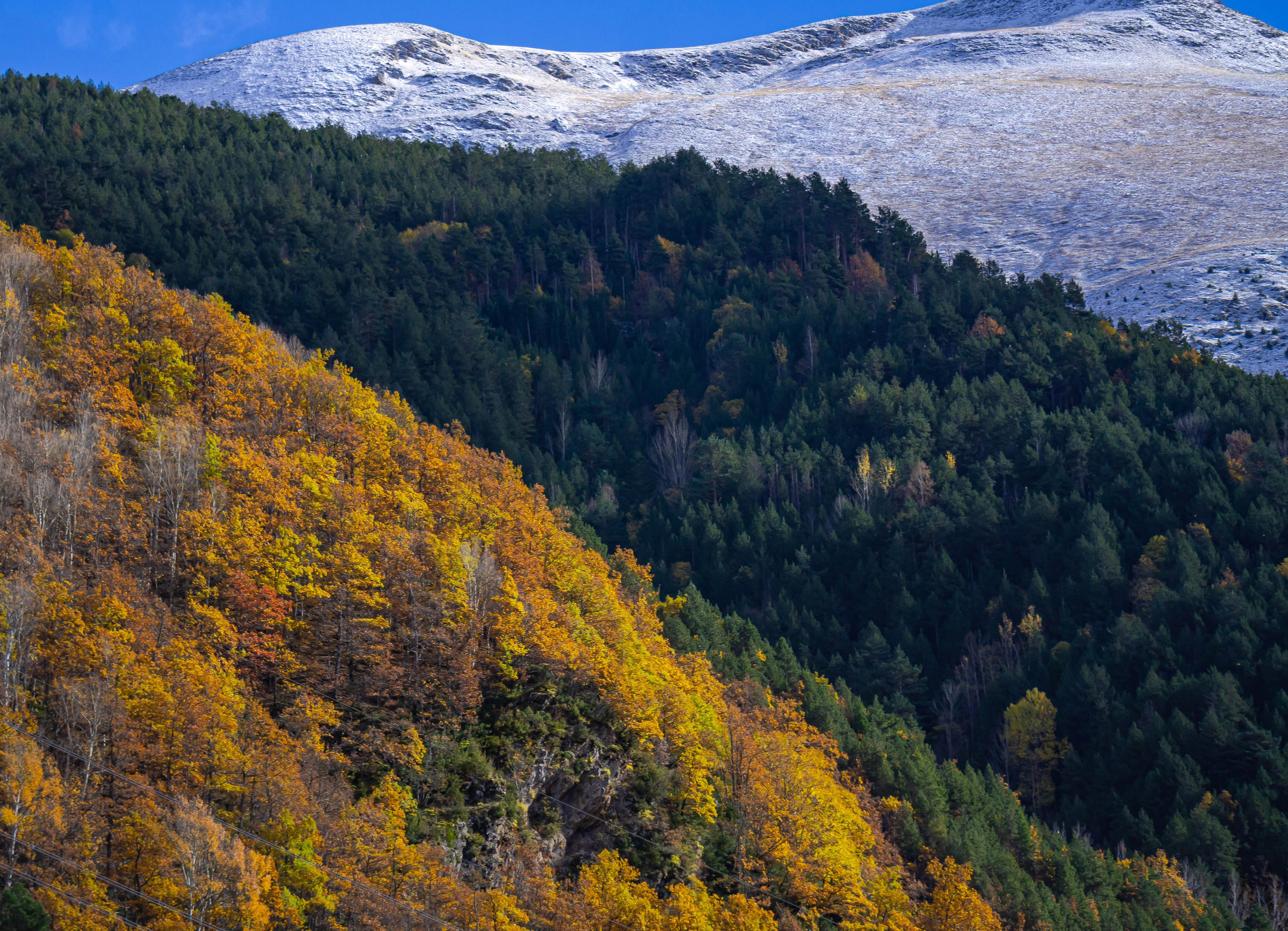 Fotografía de paisaje y naturaleza en los Pirineos | Alba del Norte