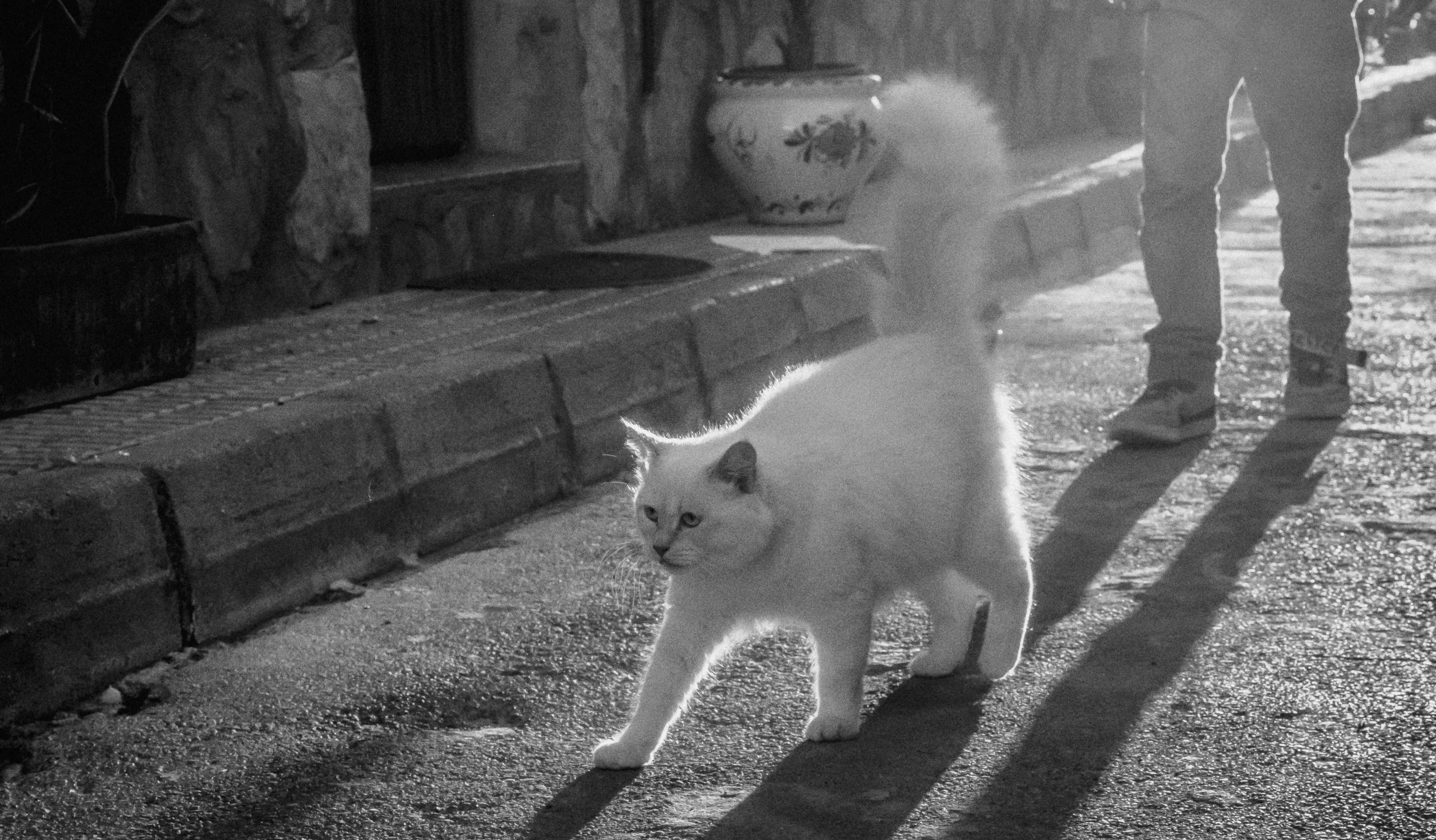 Street Photography y fotografía documental | Alba del Norte