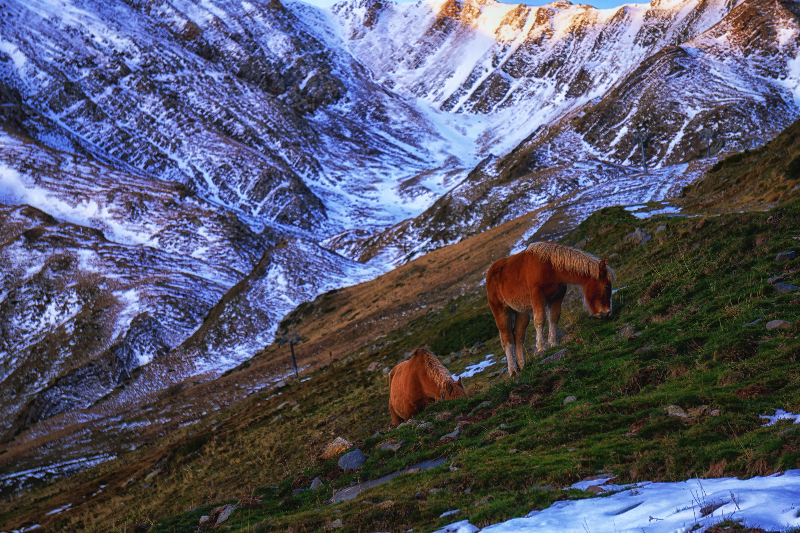 Fotografía de paisaje y naturaleza en los Pirineos | Alba del Norte