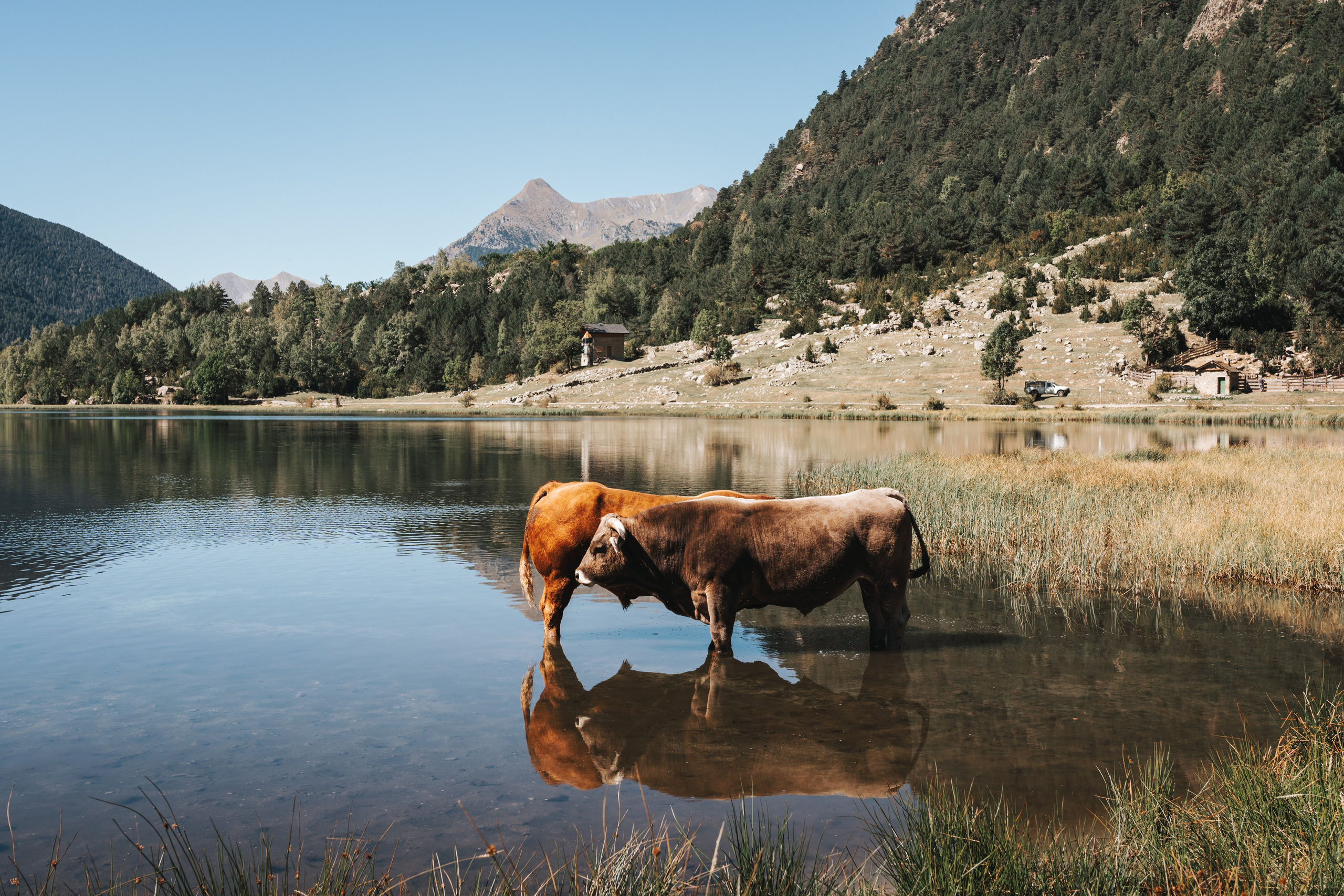 Fotografía de paisaje y naturaleza en los Pirineos | Alba del Norte