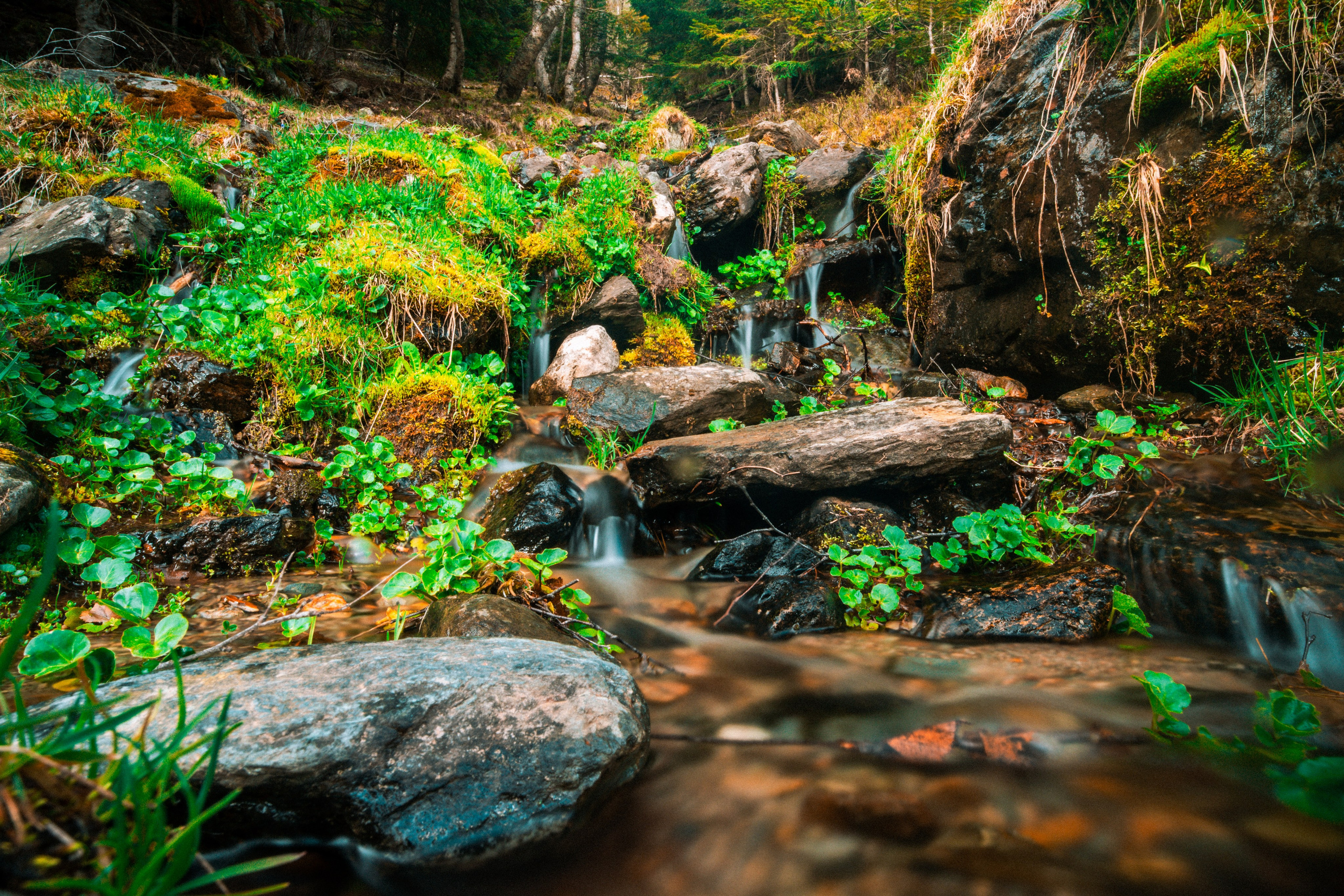 Fotografía de paisaje y naturaleza en los Pirineos | Alba del Norte