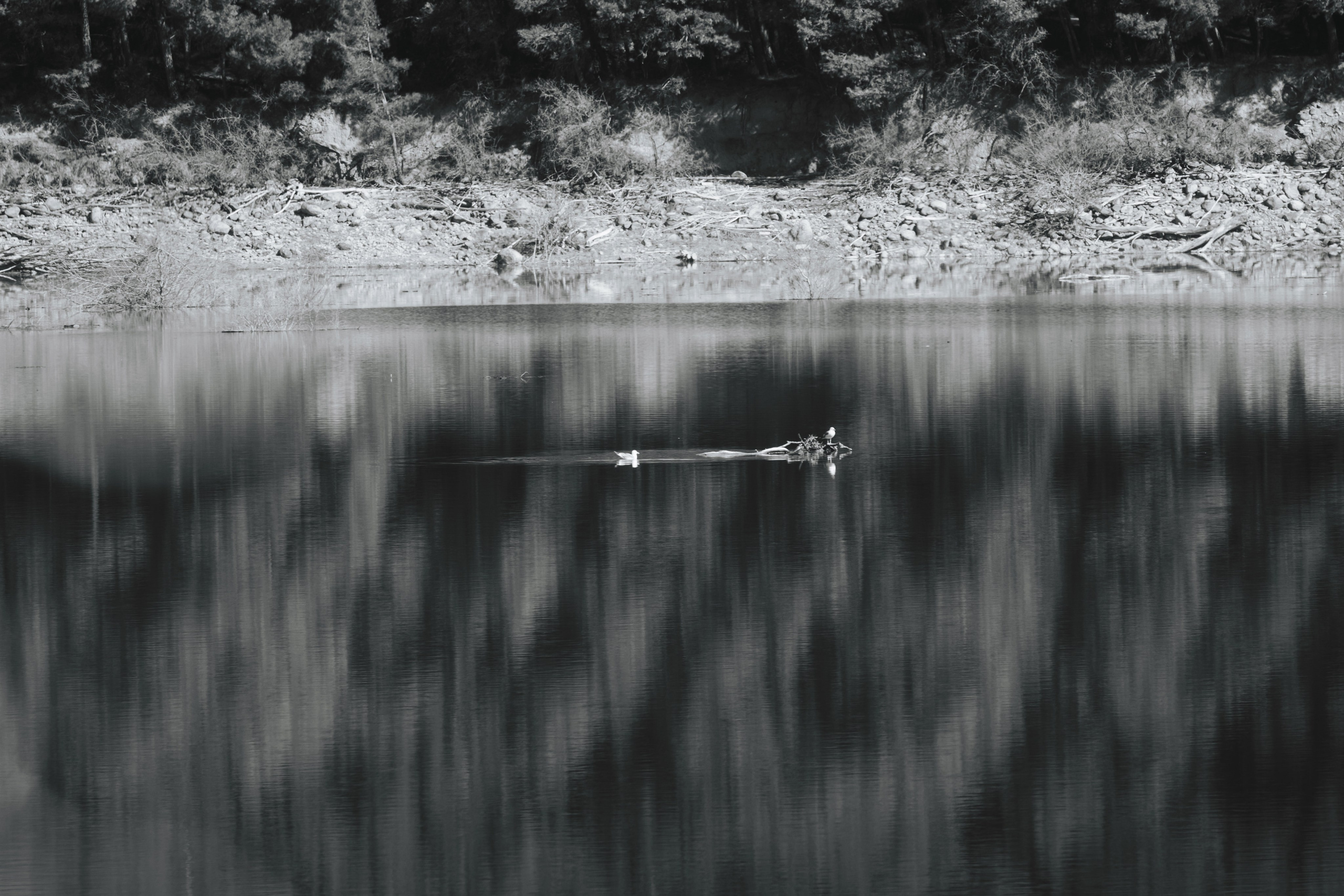 Fotografía de paisaje y naturaleza en los Pirineos | Alba del Norte