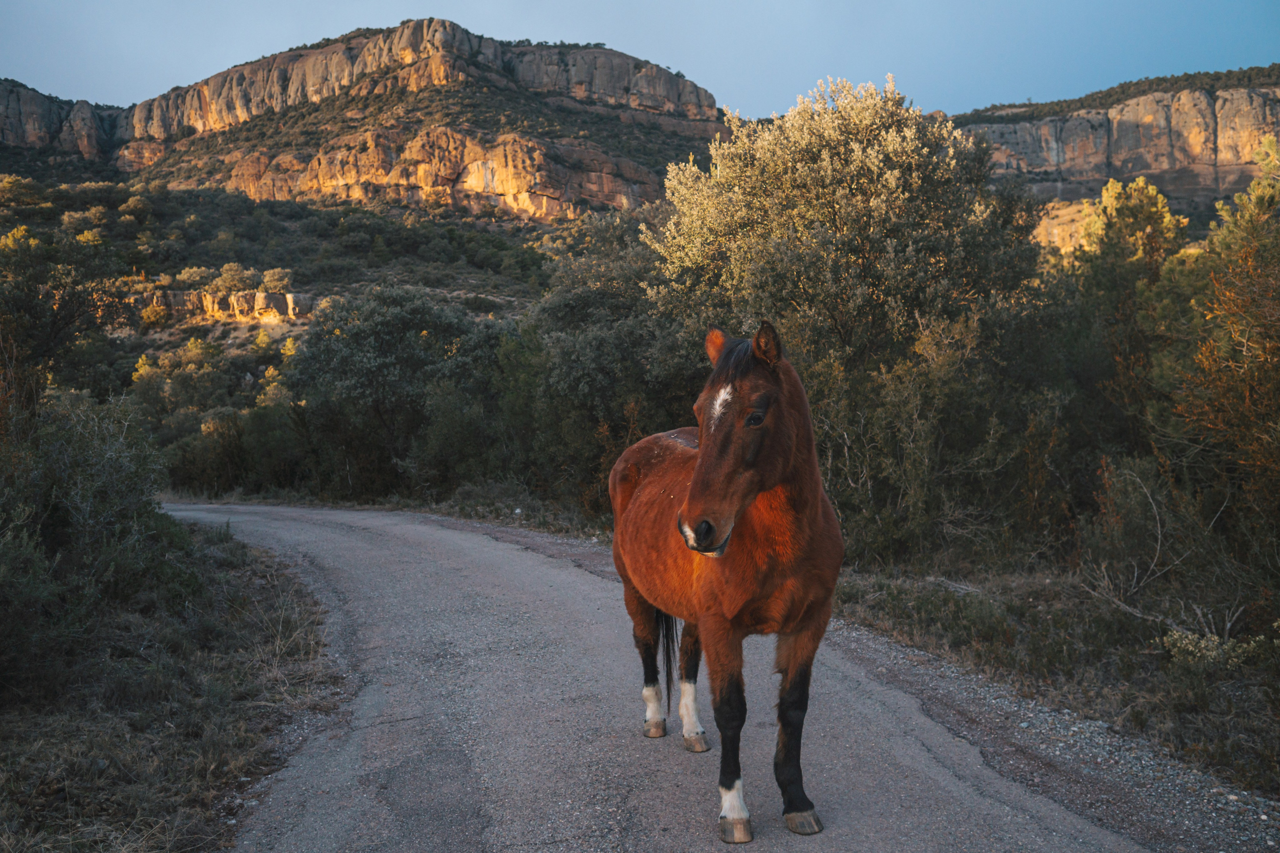 Fotografía de paisaje y naturaleza en los Pirineos | Alba del Norte