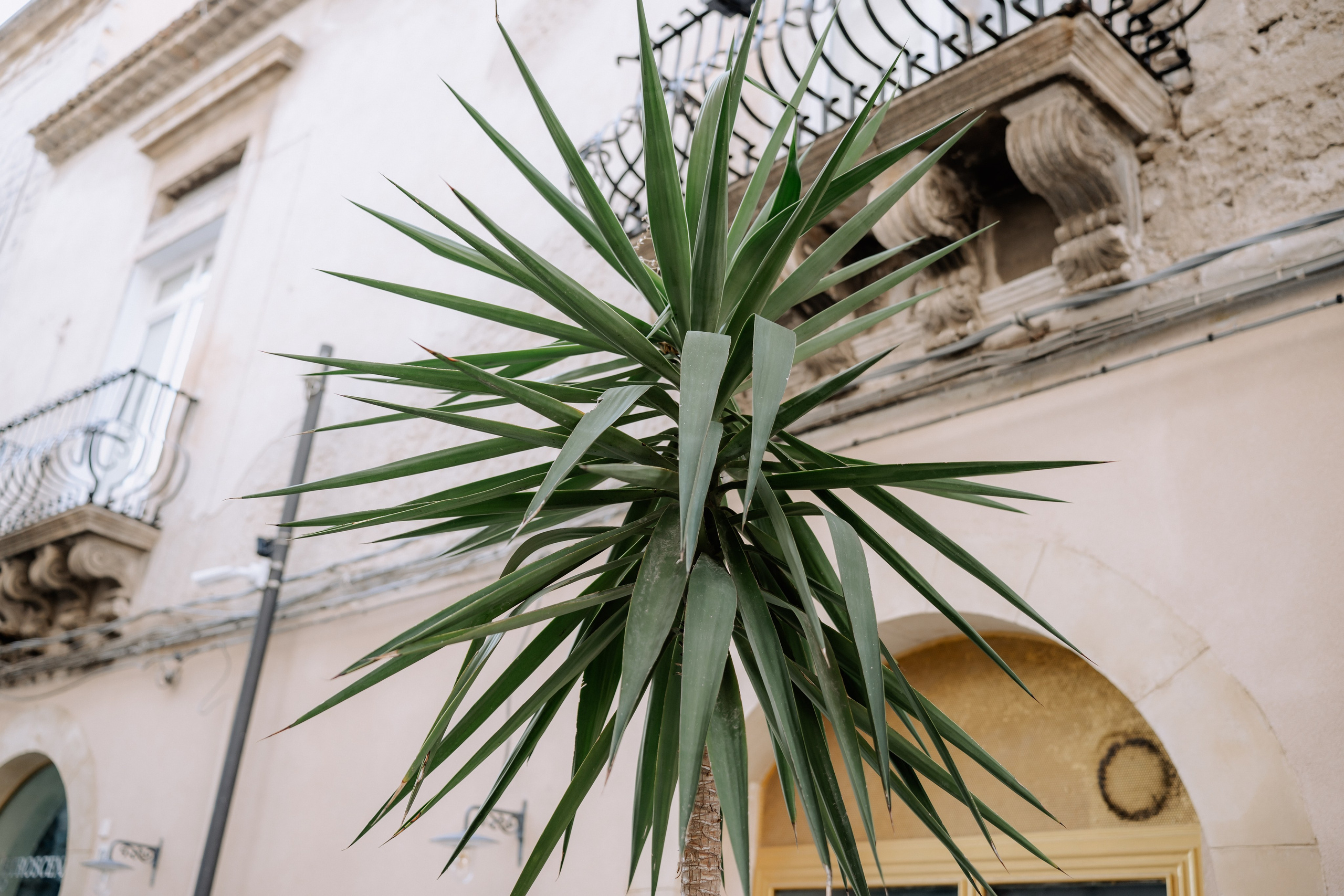 Paula + Stefan | Wedding day. Proud Vision Weddings | Wedding Photography & Film — Servicii profesionale Foto Video Nunta Iasi