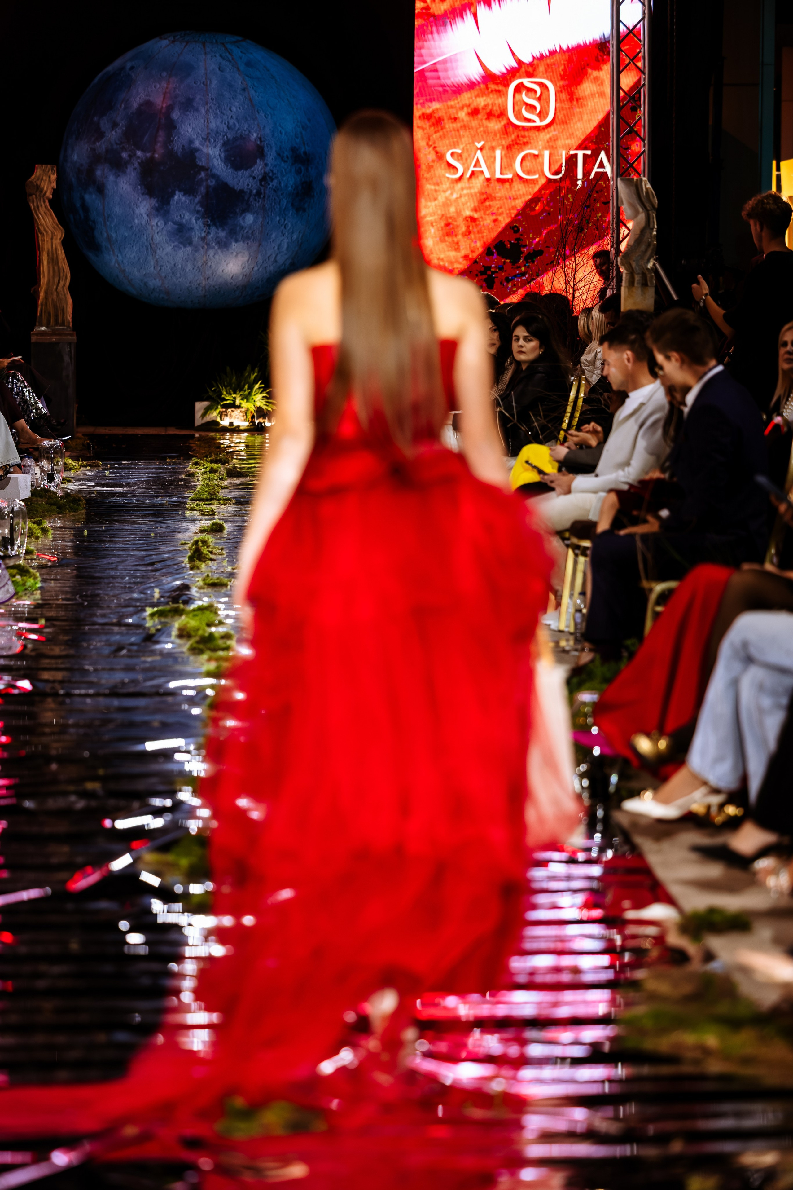 Prive. Marius Ciocan