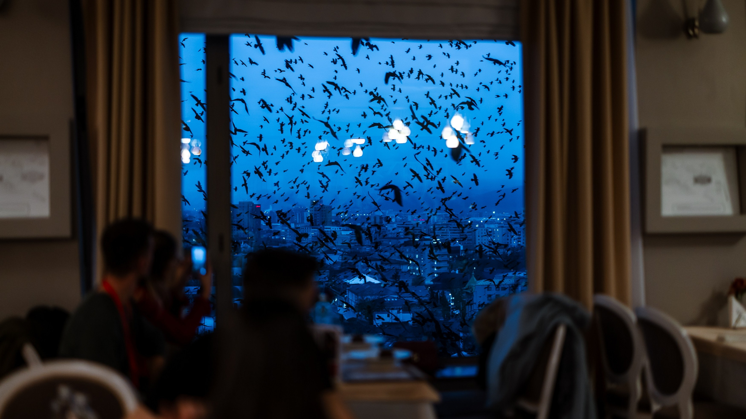 Taste Busters 2. Marius Ciocan