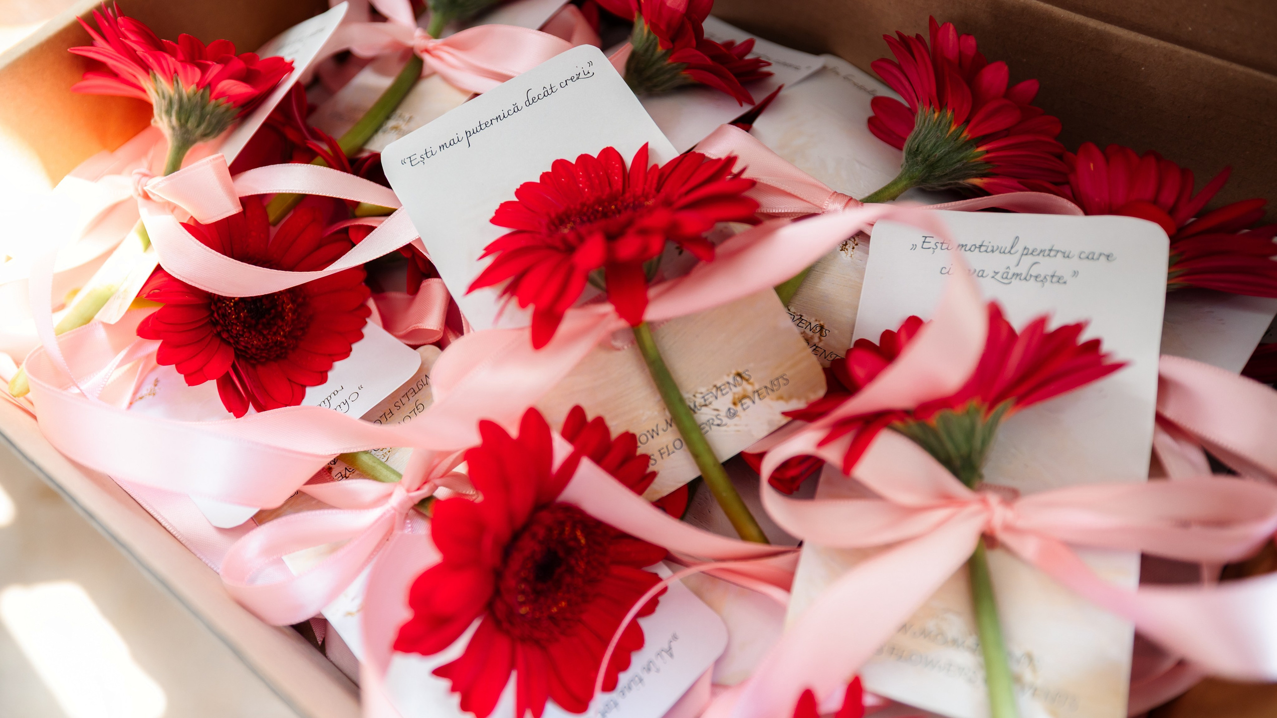 Glow Mom 2. Marius Ciocan