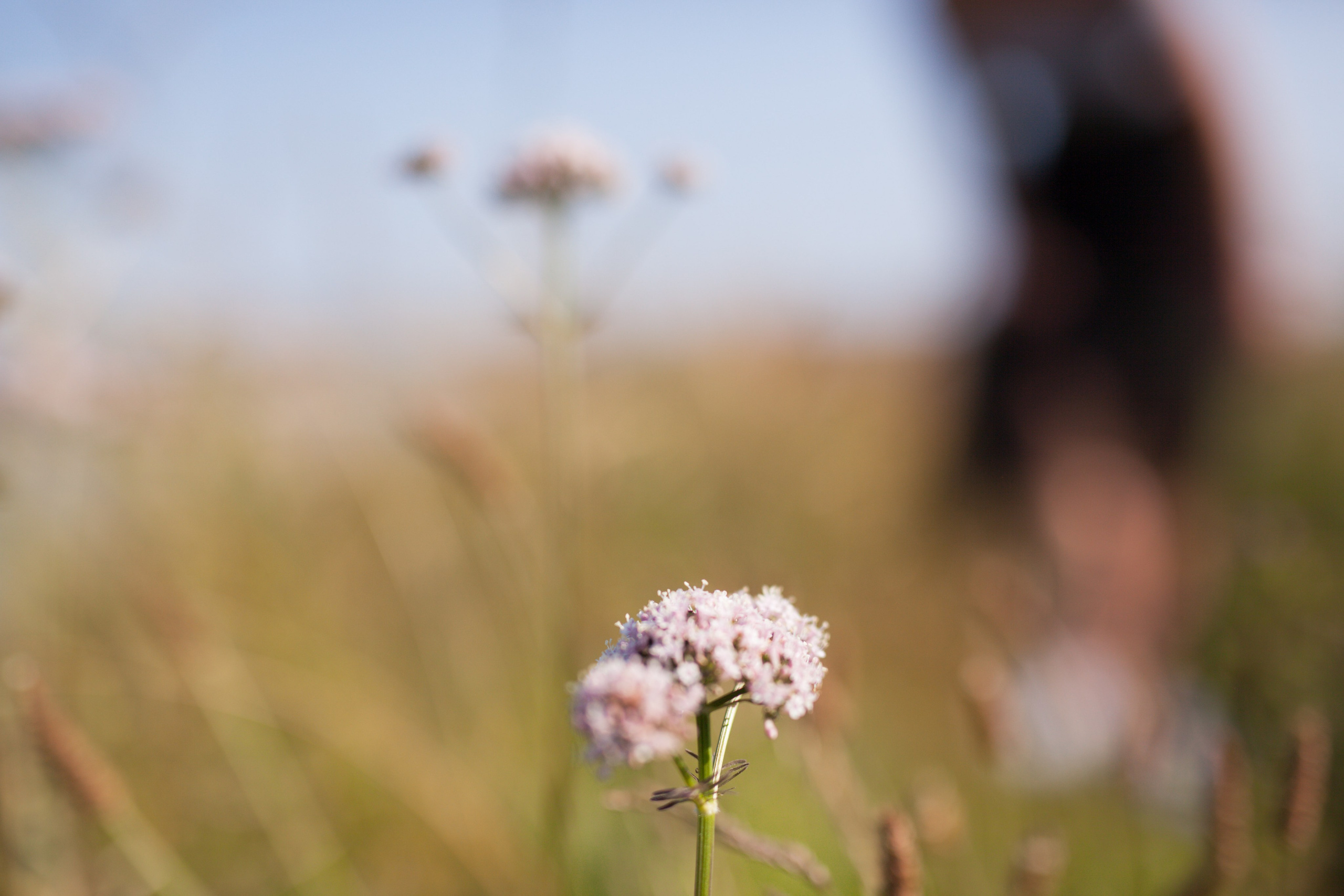 Norwegian coast. Family and real state photographer in Haugesund Dina Vikra