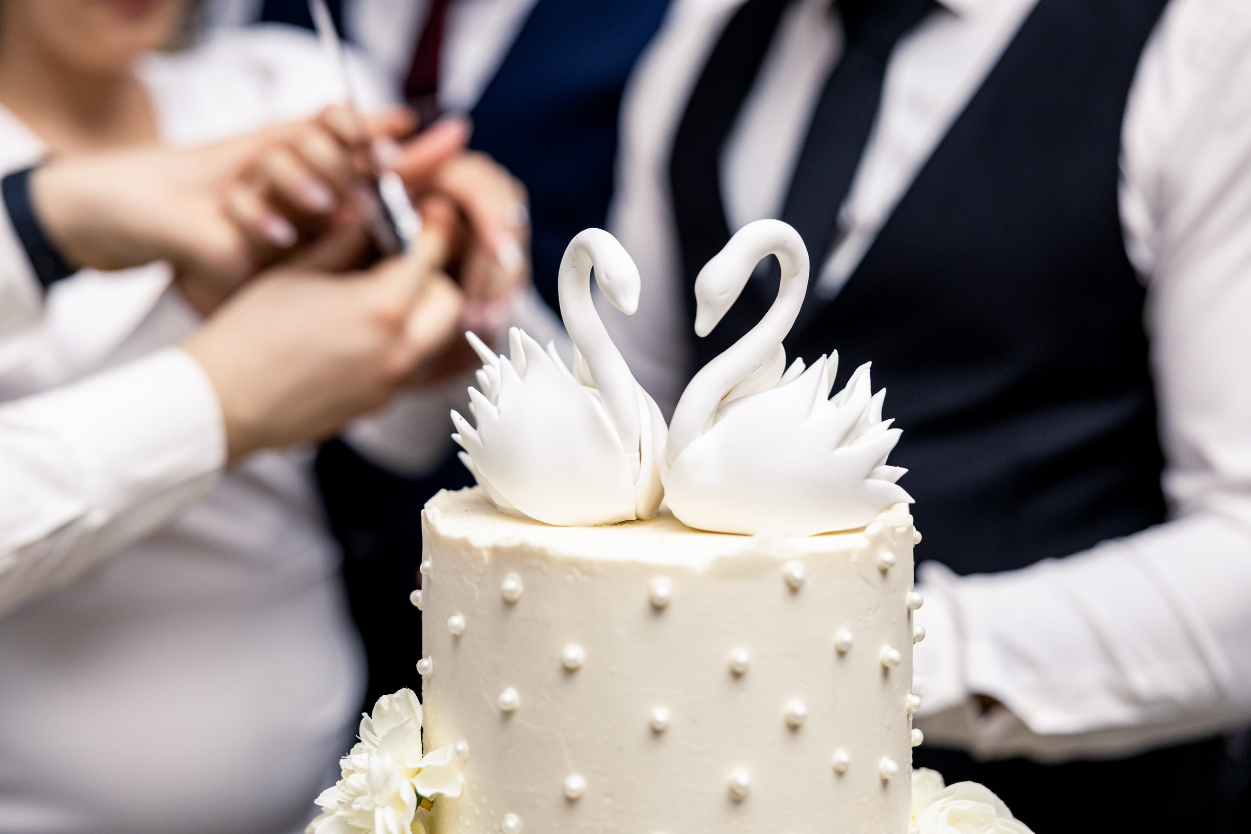 Sara&Josip. Fotografisanje svadbi, Novi Sad|Dream Point Wedding