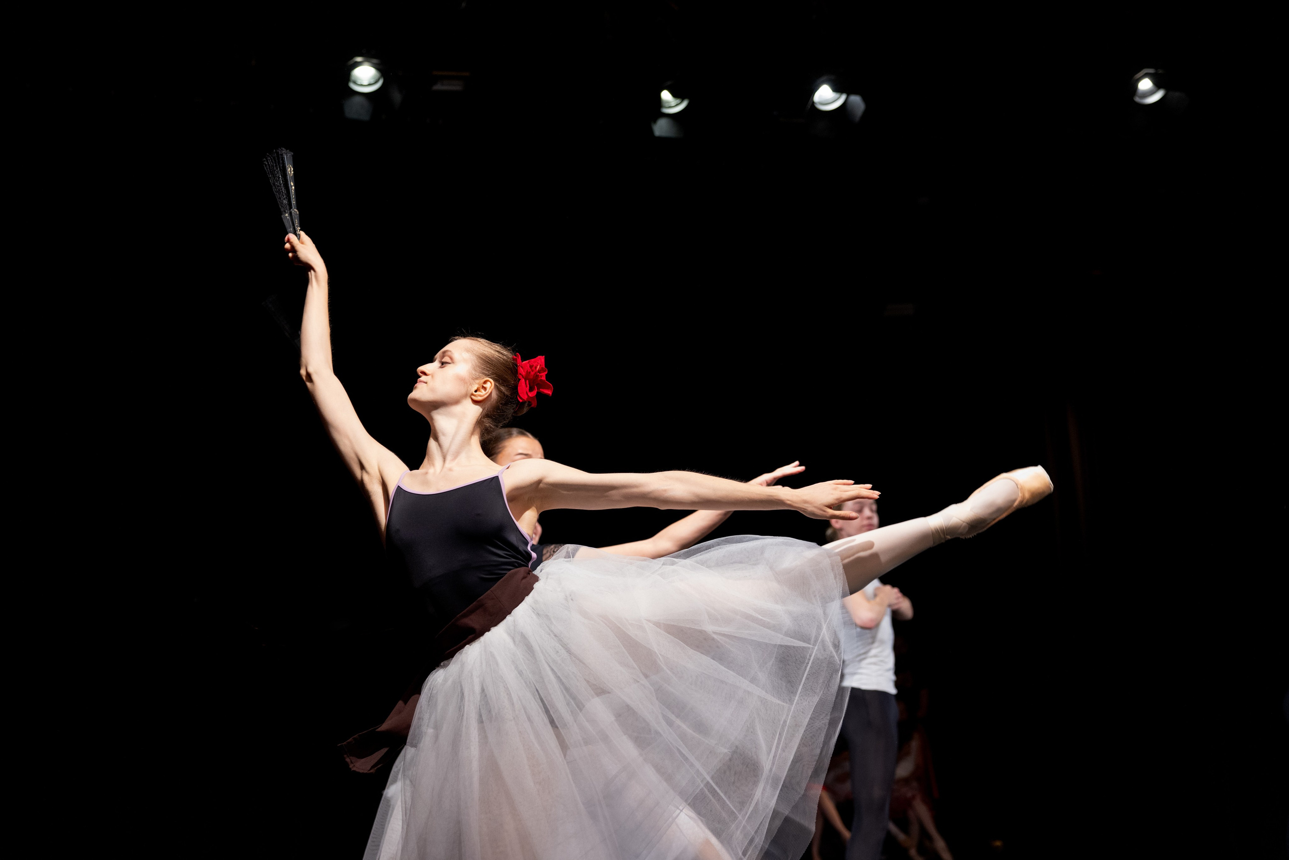 Stage Performances — Dance Photography That Feels Alive. Ballet & Dance Photography Europe | Tatiana Mudryak — Dresden-based | CV, Creative, Workshops