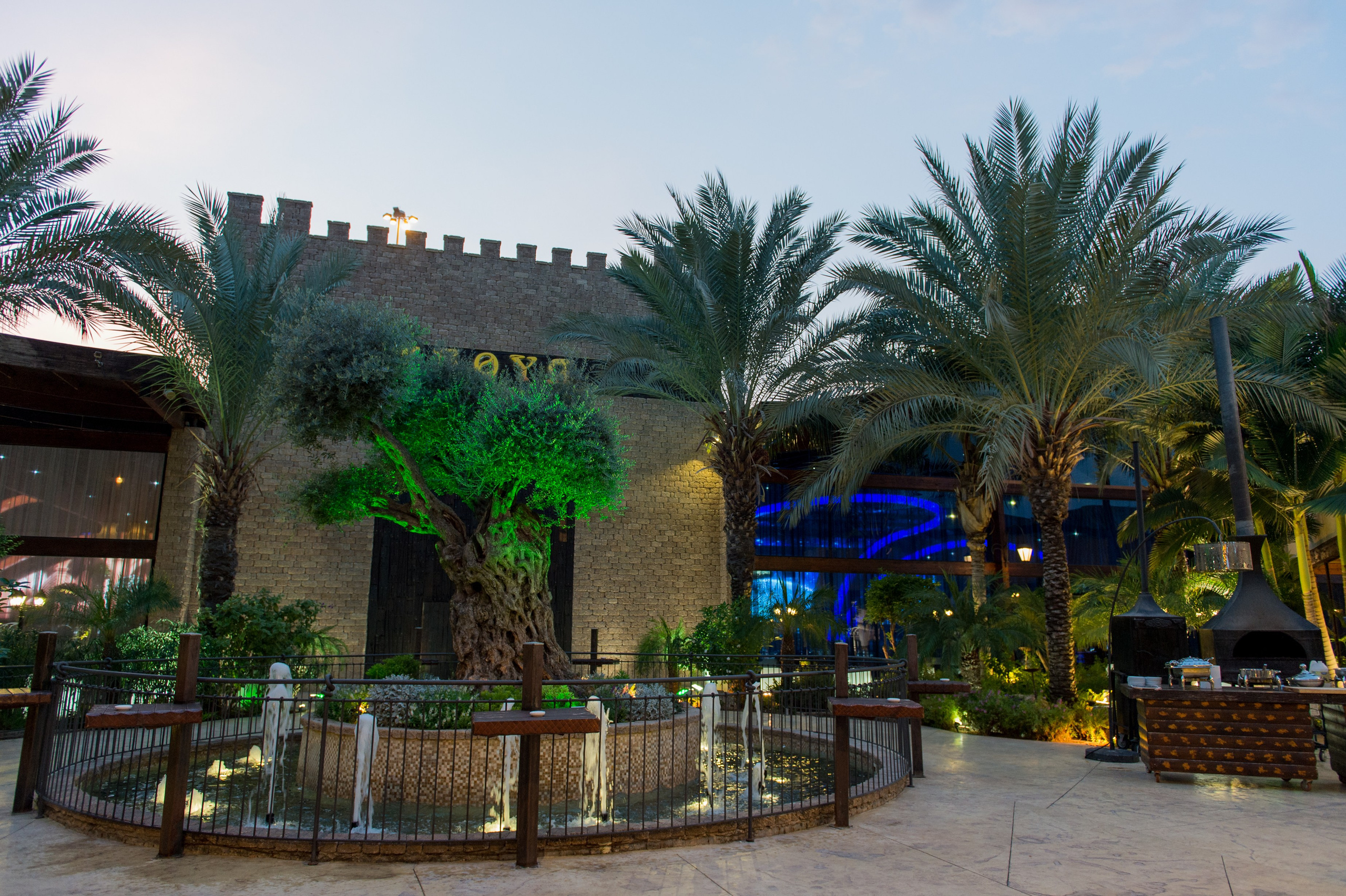 Stella & Elijahu. Wedding and events photographers Studio Shalom