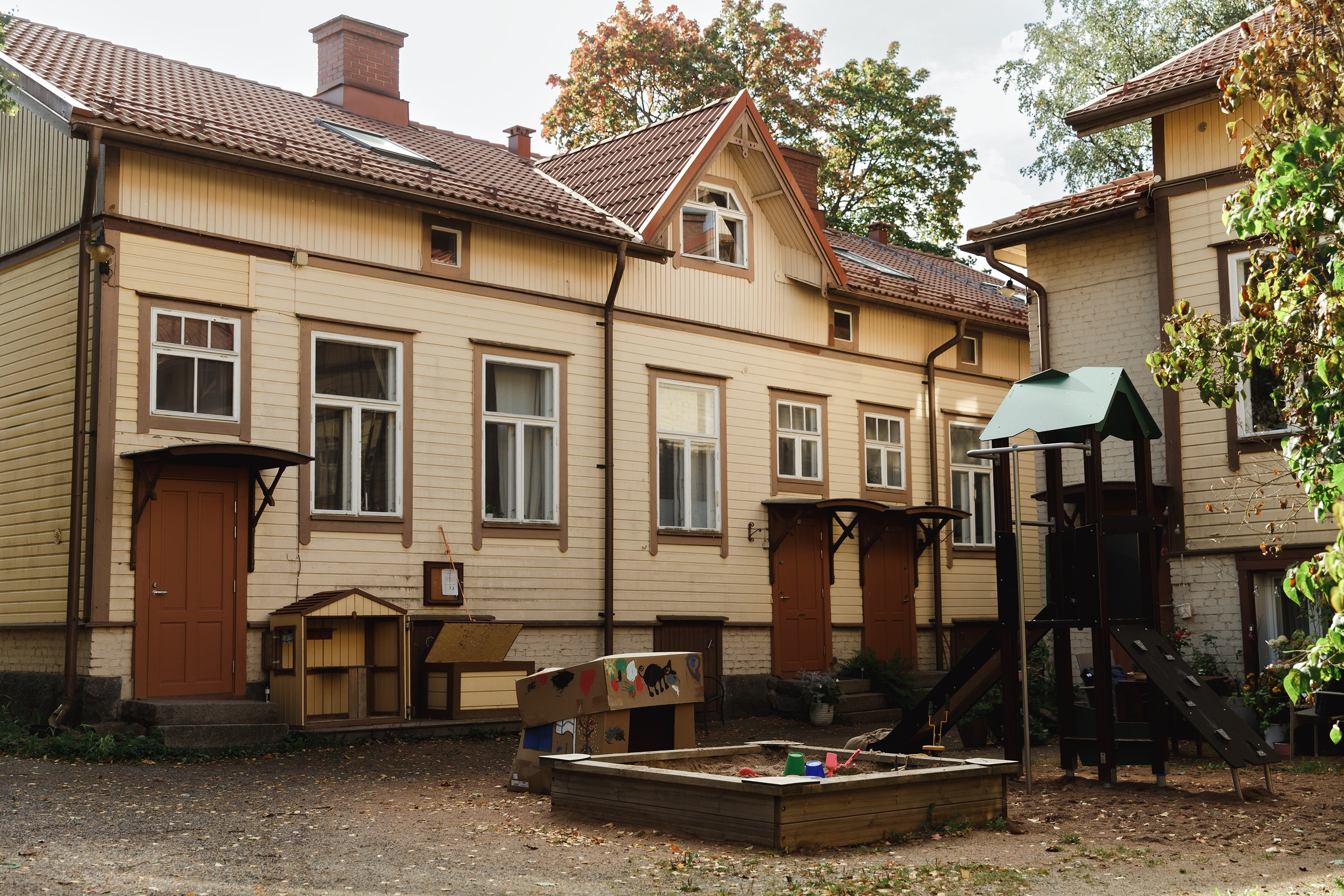 Turku. Kaja | fotograf psów we Wrocławiu