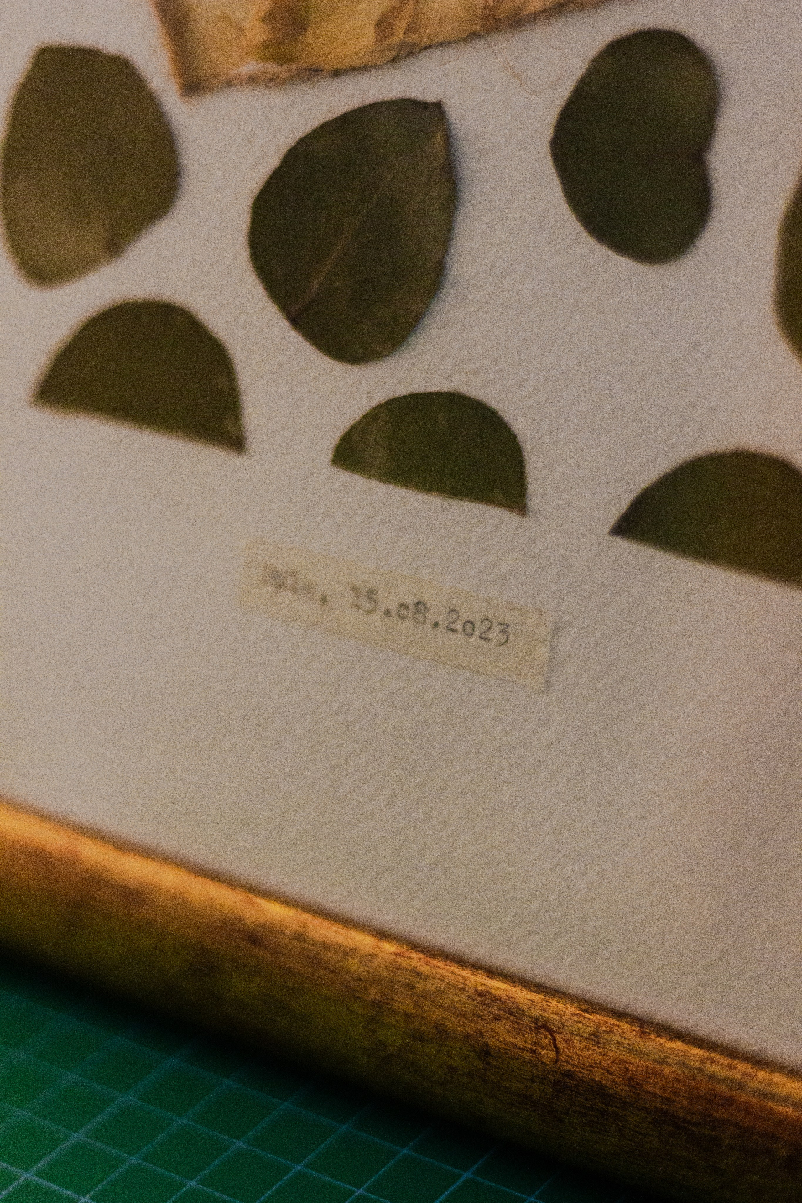 Vjenčani radovi. Herbarij studio