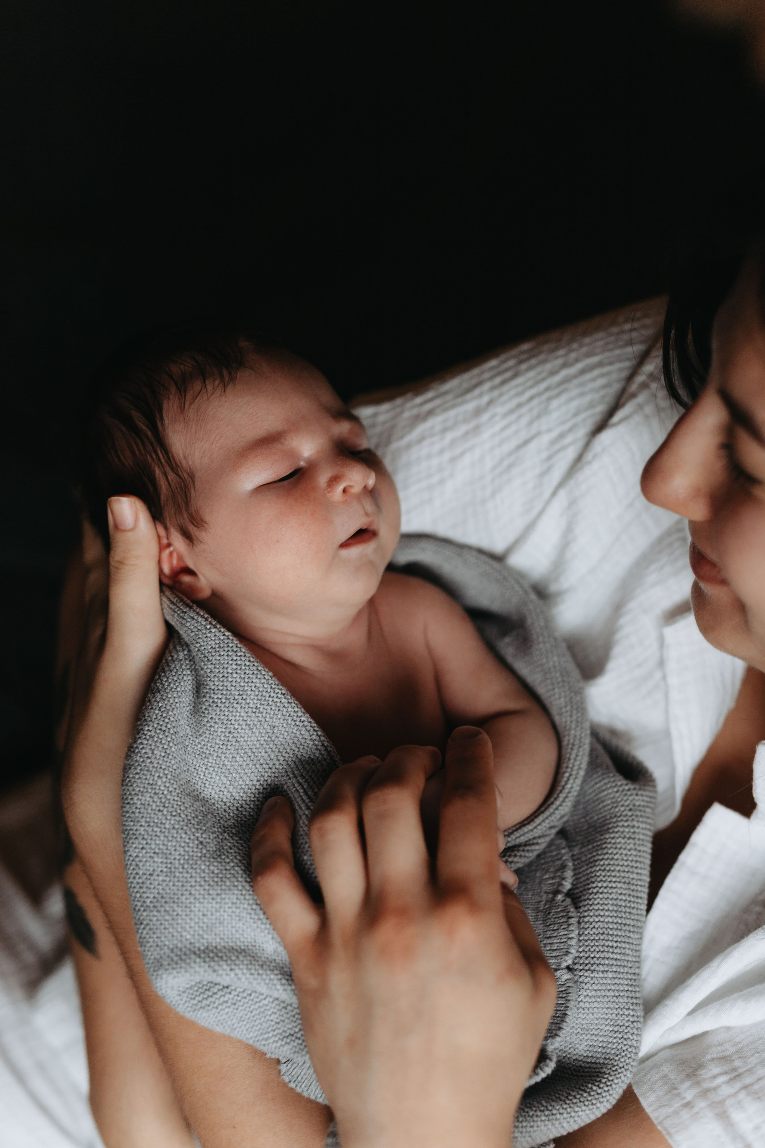 Pierwsza sesja Franka