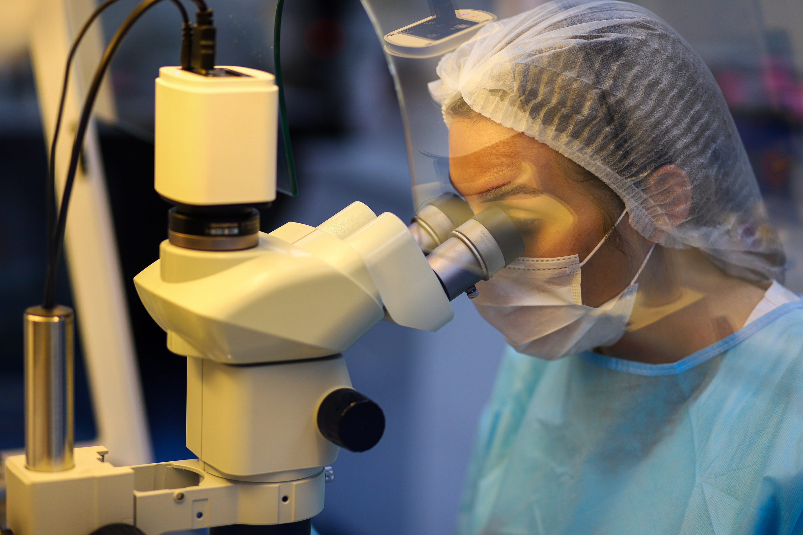 Business. Portrait and family photographer in Fort Collins Dania Gaisina