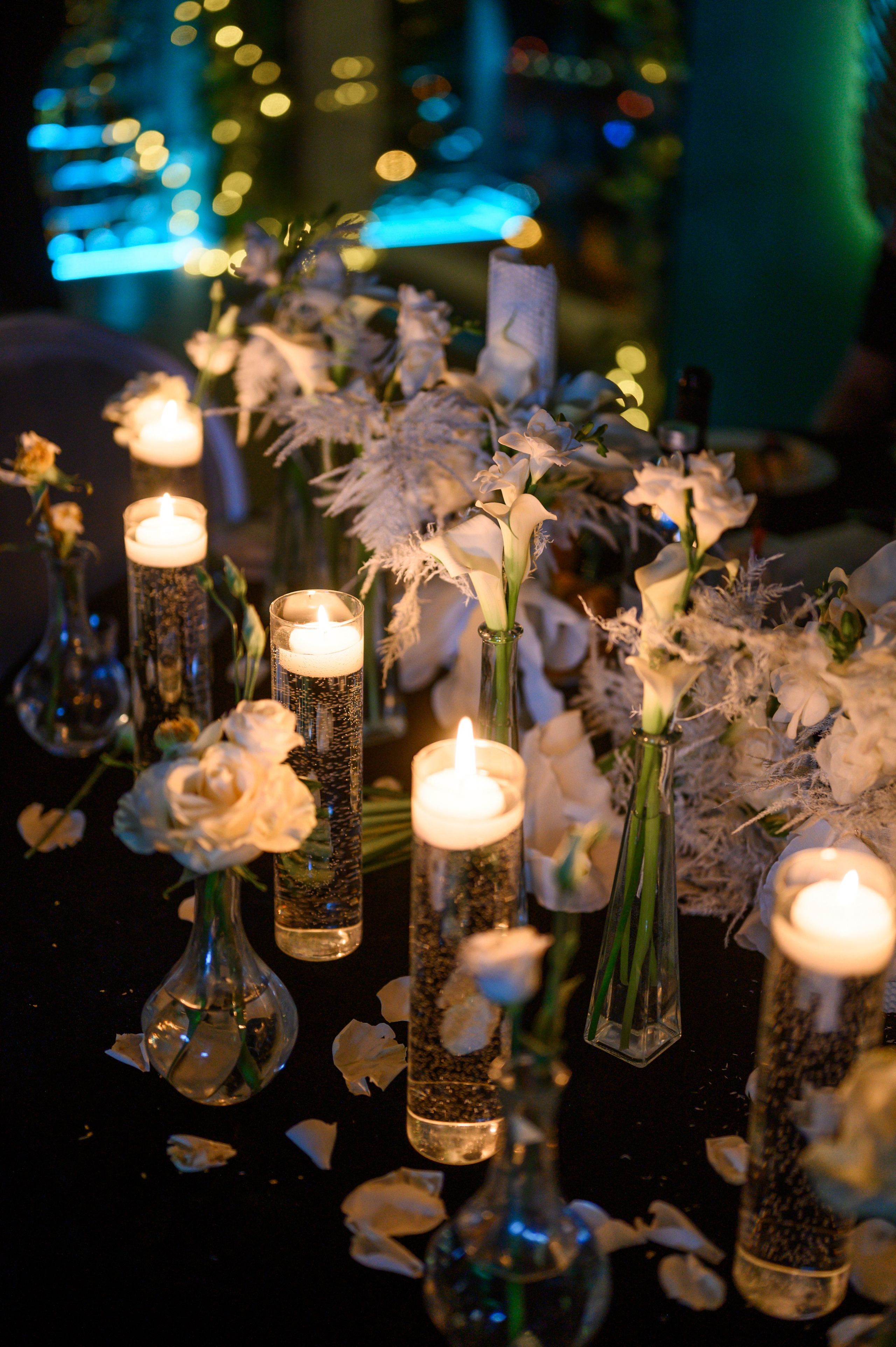 Andreea & Ovidiu. BCarp Productions