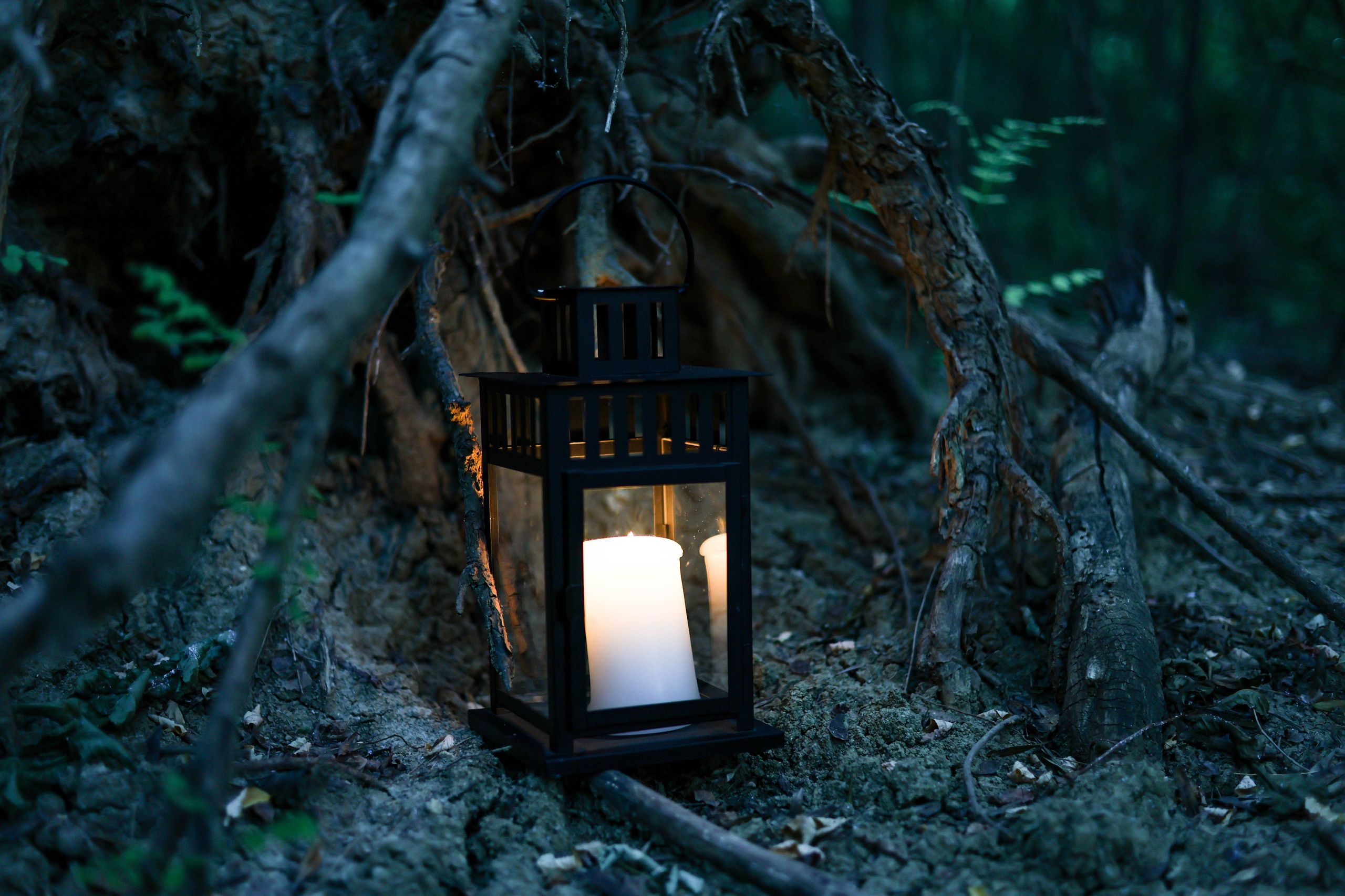 Семейный фотограф в Кишиневе, Молдова Врабий Ольга