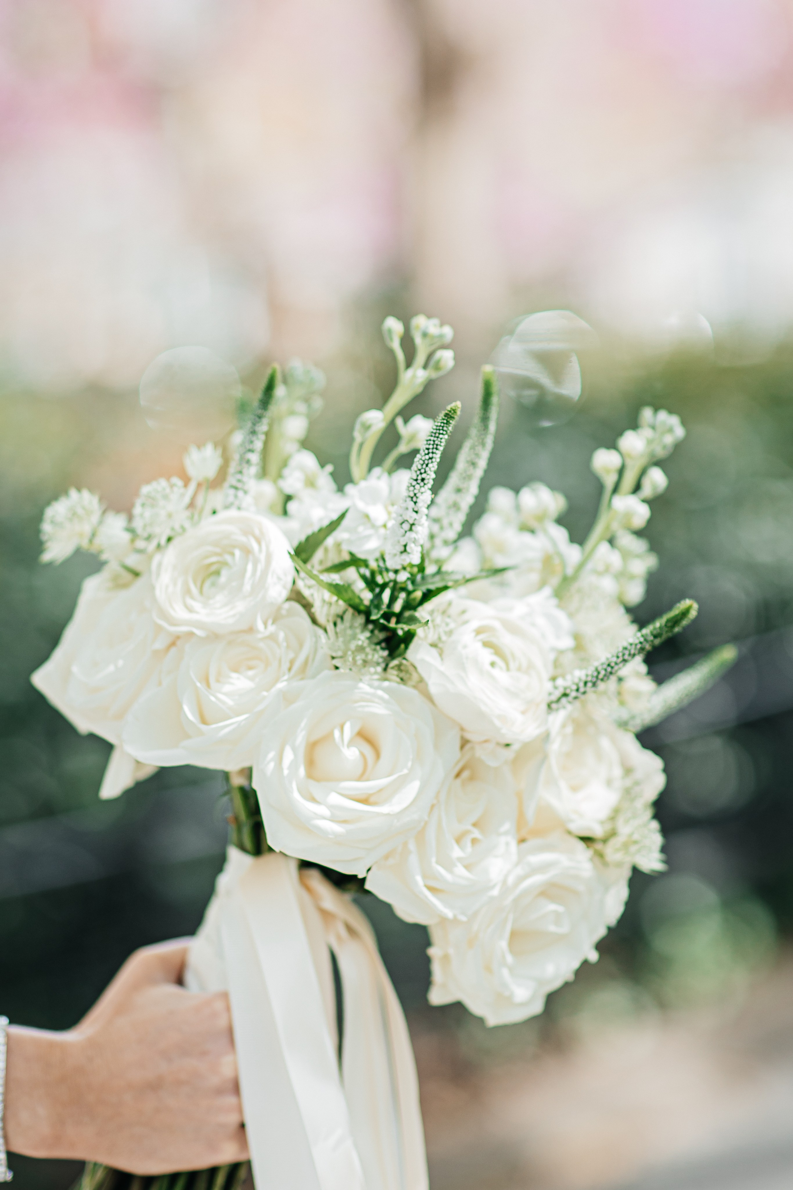 Katelyn & Henry. Wedding Photo & Video