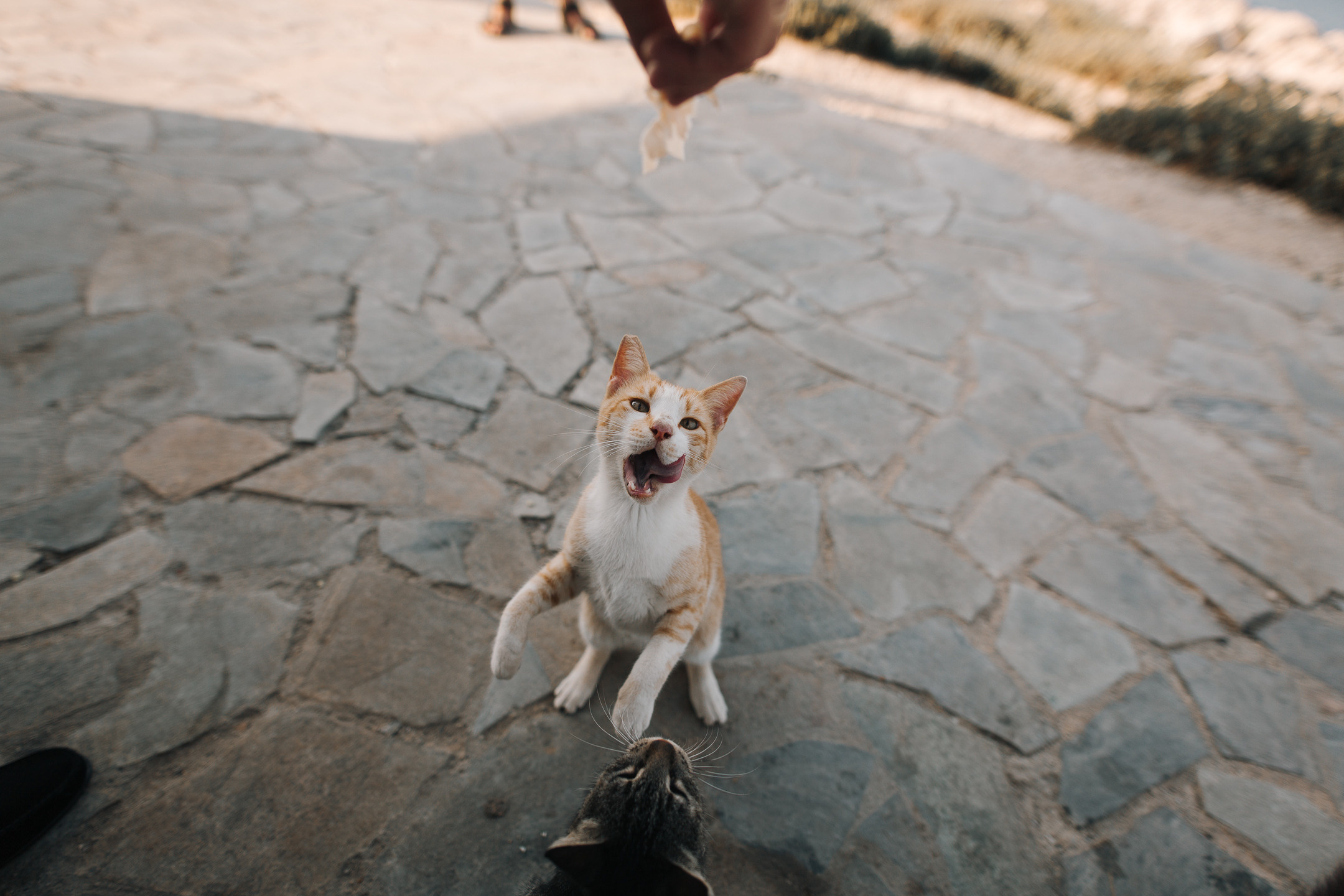 Ciprus. Фотограф Рига и Европа