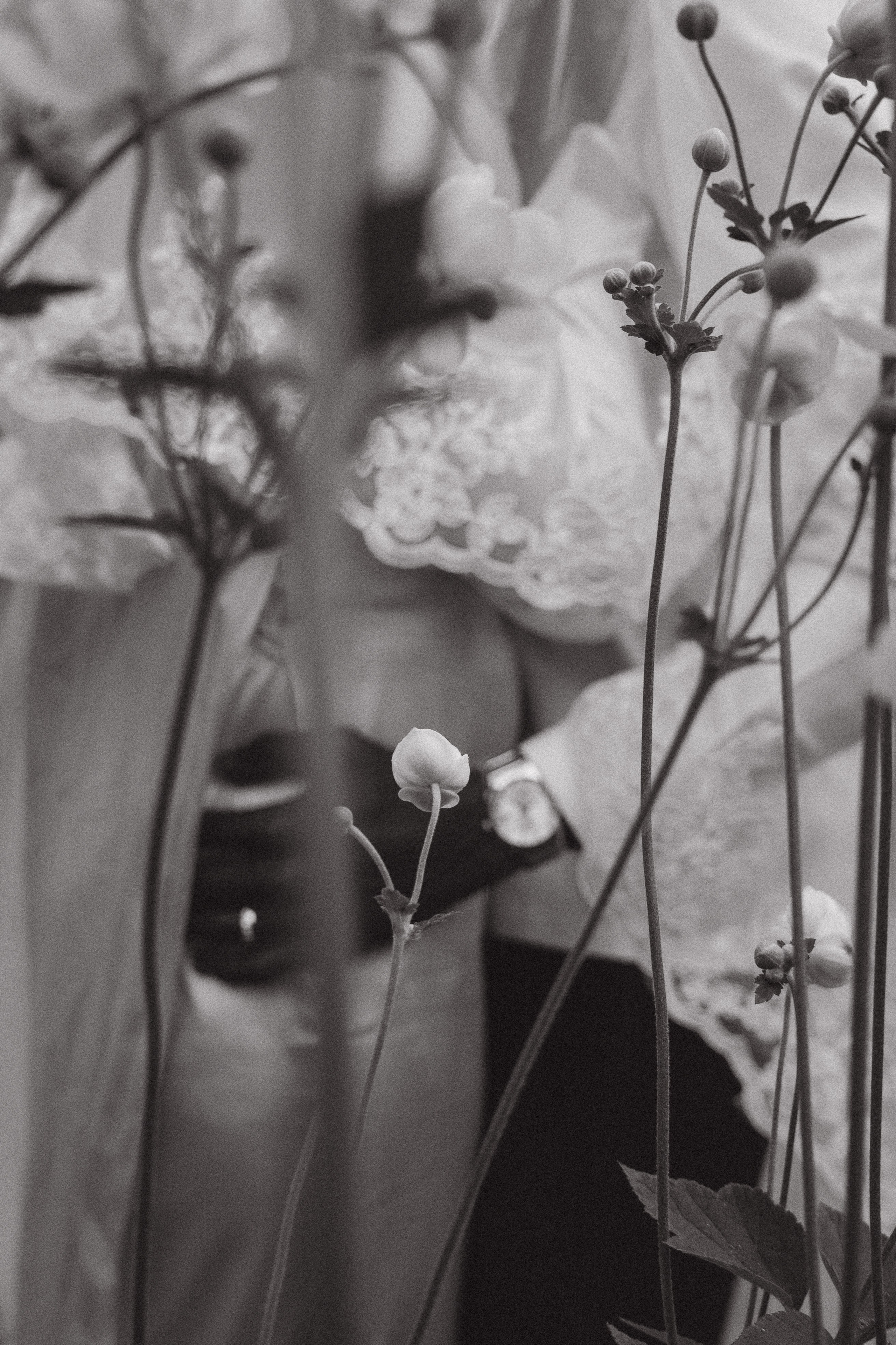 Elopment — San Francisco