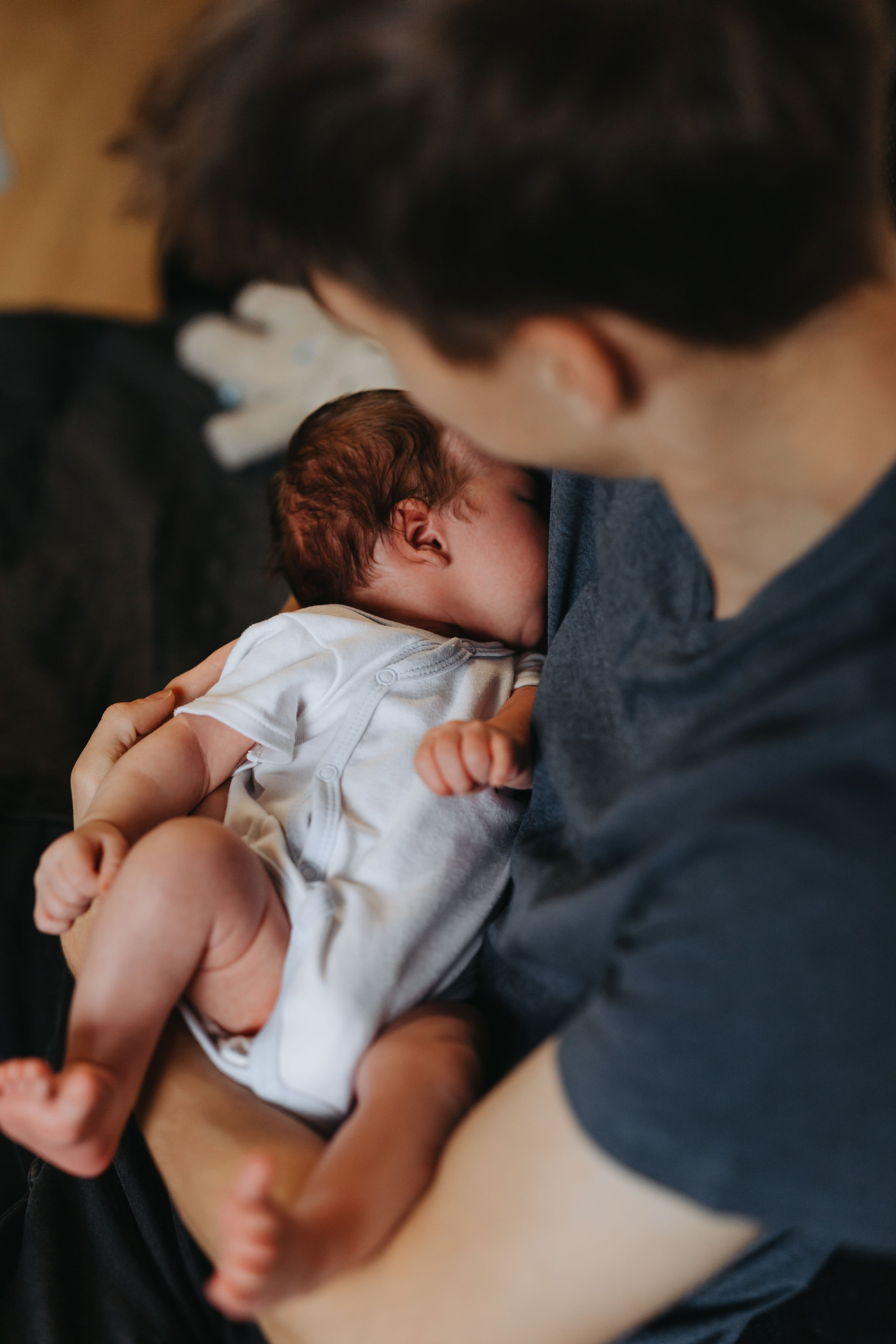 Pierwsza sesja Franka