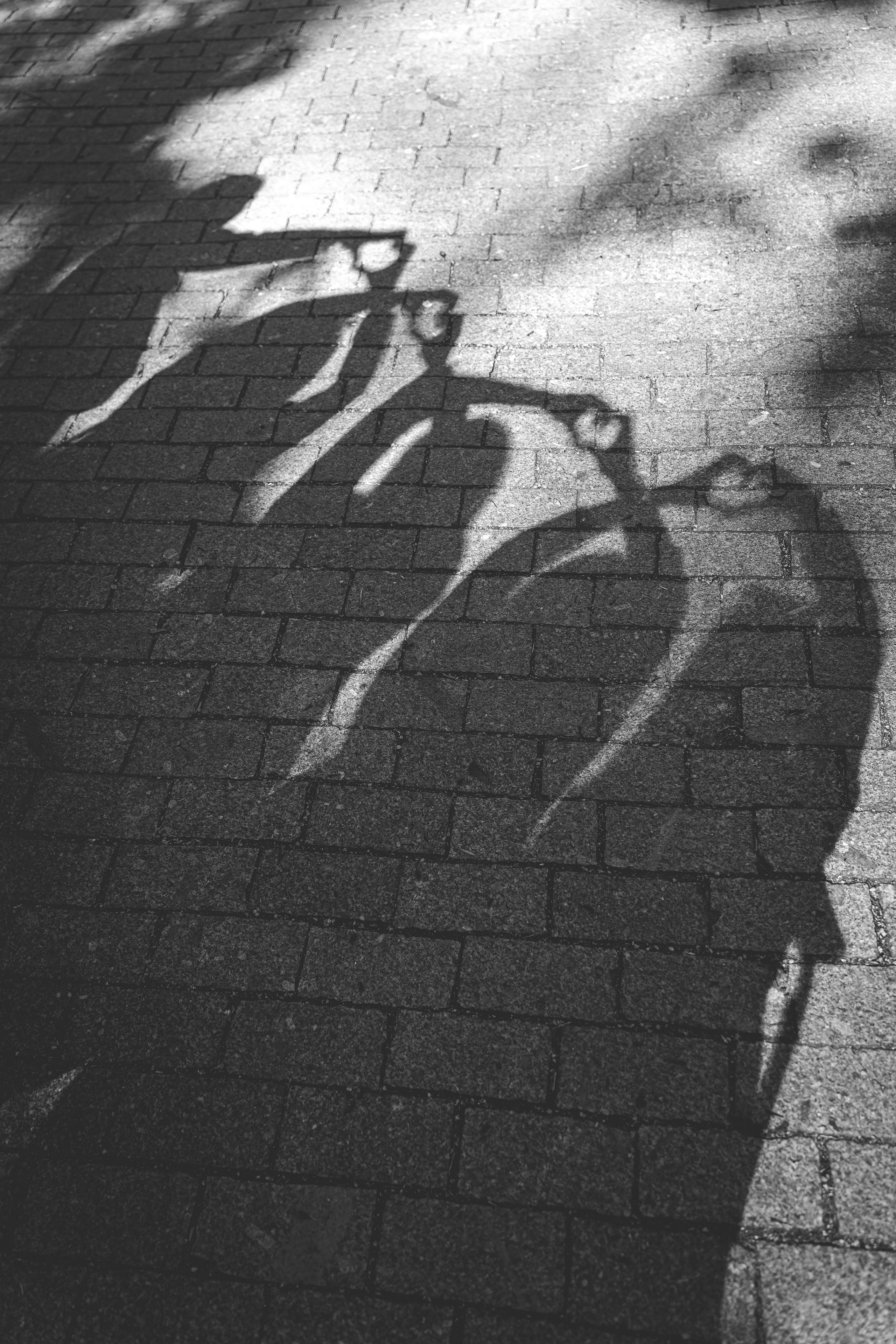 Panieńskie. Ania Smol Fotograf Olsztyn