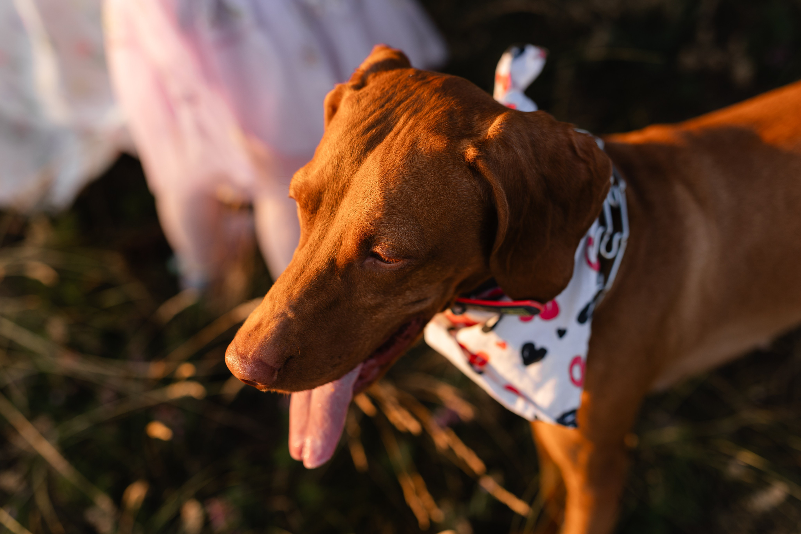 Nico, Luci & Ilaria — Family. Main